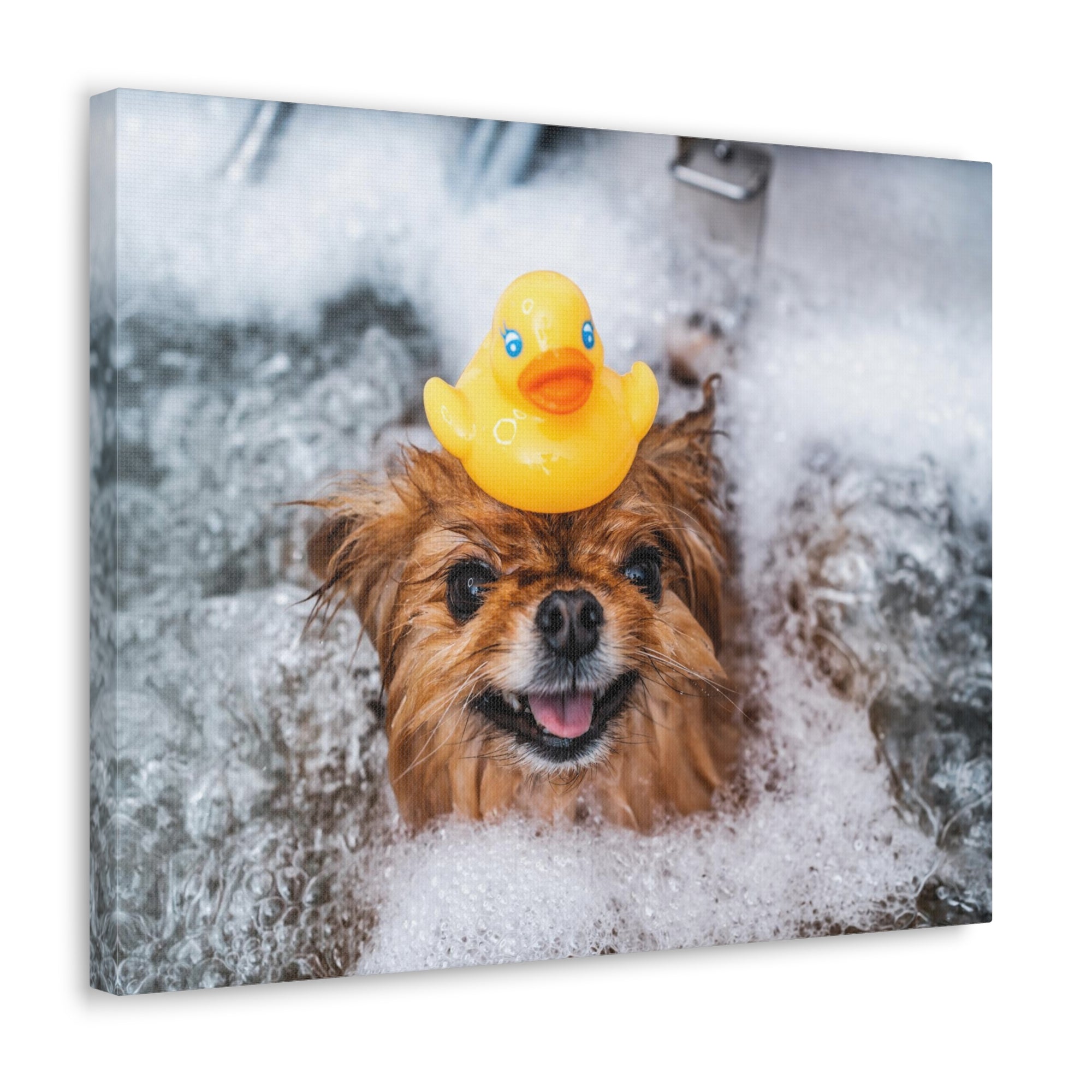 Funny Spitz Bathee Canvas Wall Art for Home Decor Ready-to-Hang-Express Your Love Gifts