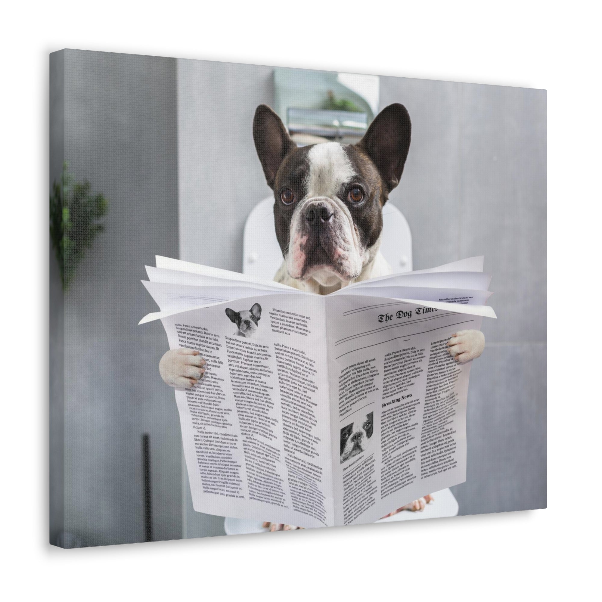 French bulldog Reading Newspaper On Toilet Funny Canvas Wall Art for Home Decor Ready-to-Hand-Express Your Love Gifts