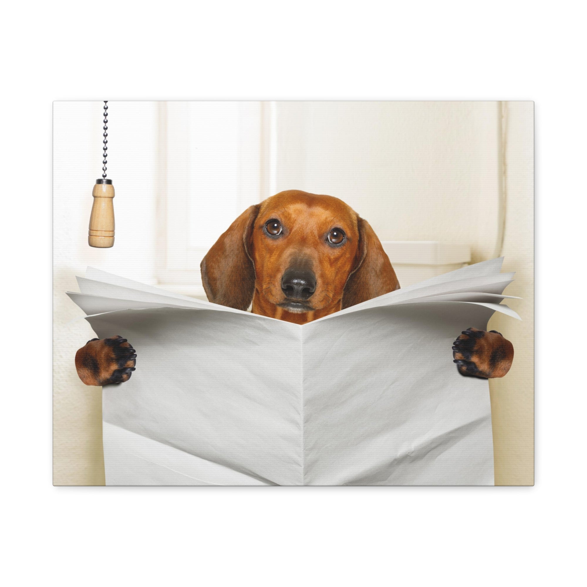 Funny Sausage Dachshund Reading Blank Paper On Toilet Funny Canvas Wall Art for Home Decor Ready-to-Hand-Express Your Love Gifts