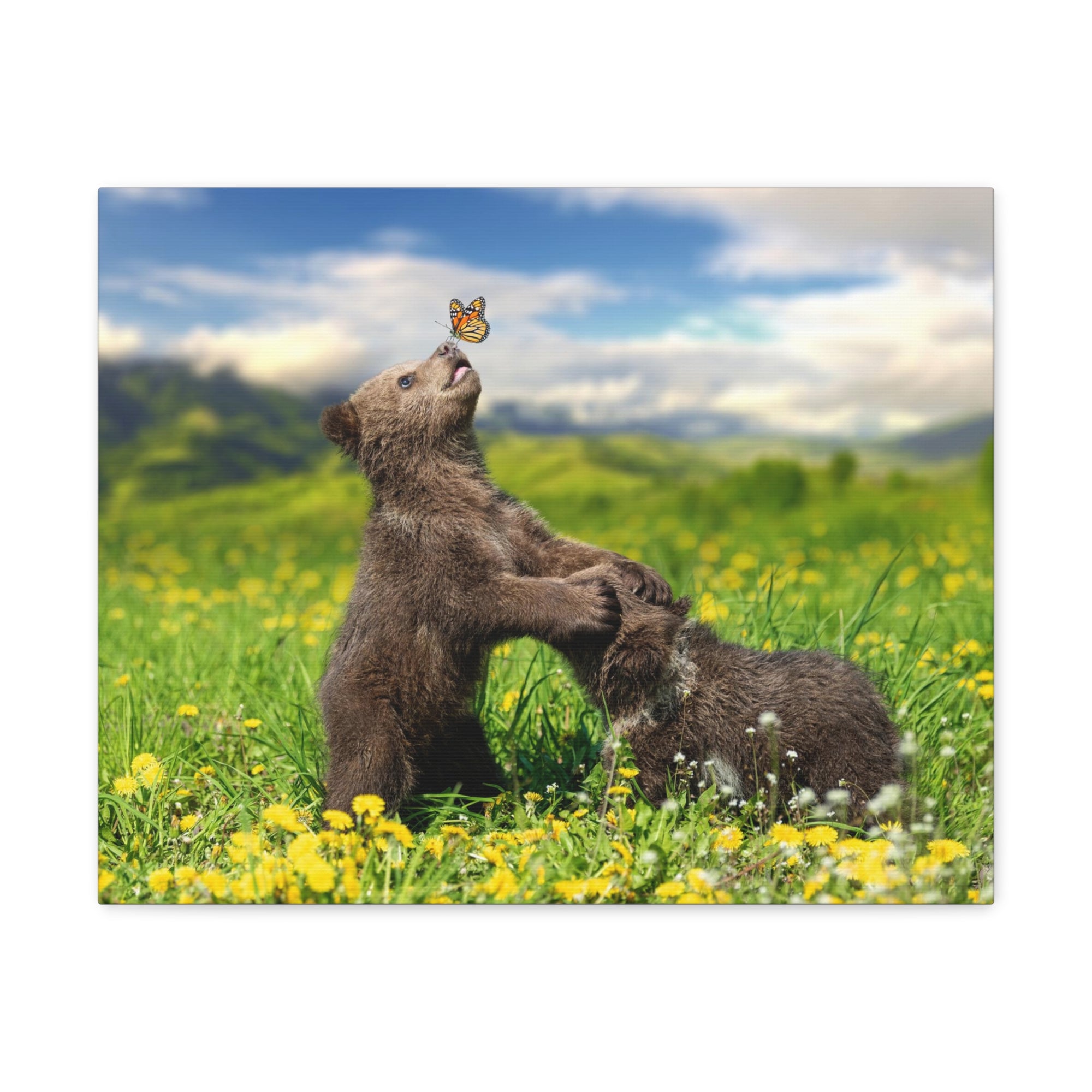 Black Bears in The Spring Nature Wilderness Photography Canvas Wall Art for Home Decor Ready-to-Hang-Express Your Love Gifts