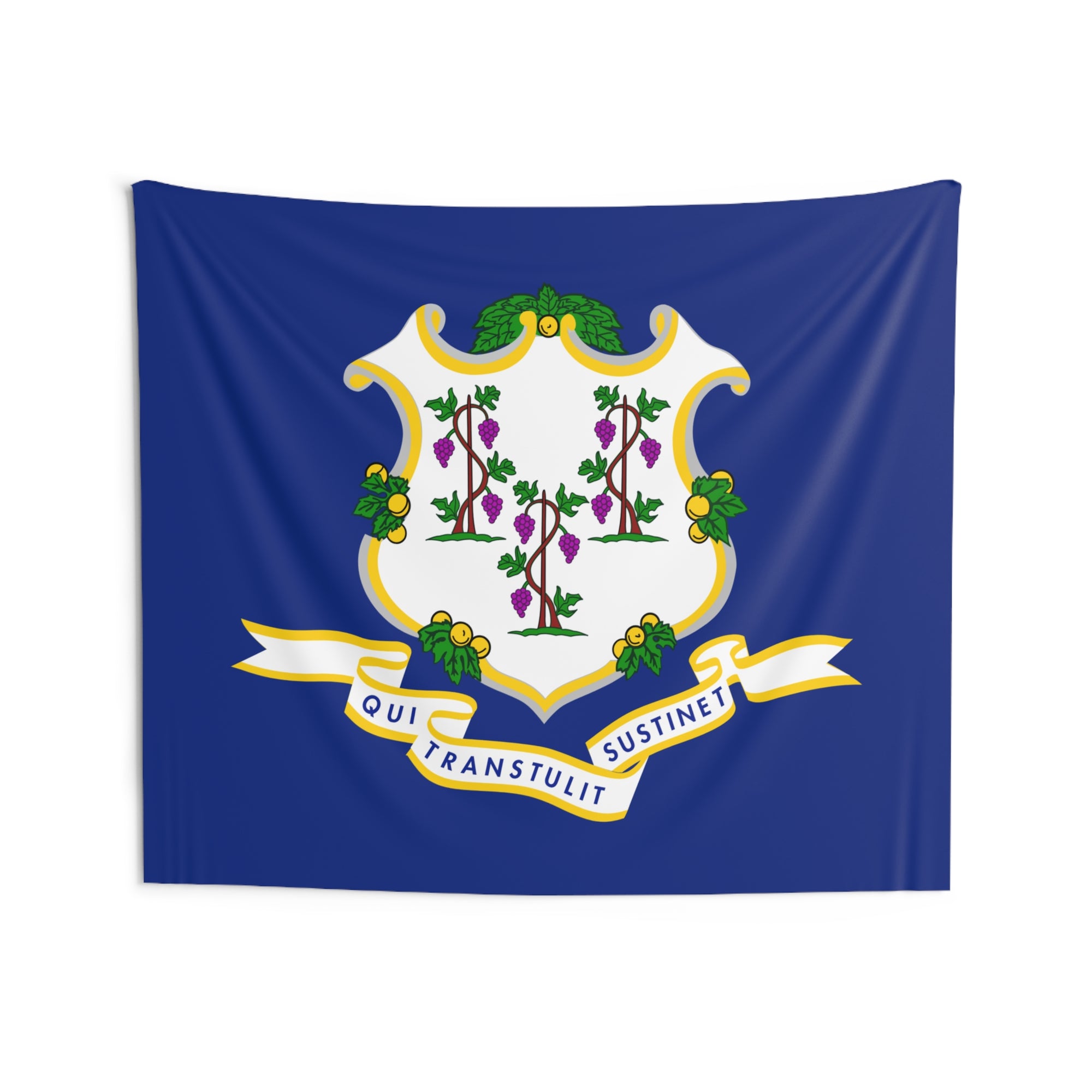 Connecticut State Flag Wall Hanging Tapestry-Express Your Love Gifts
