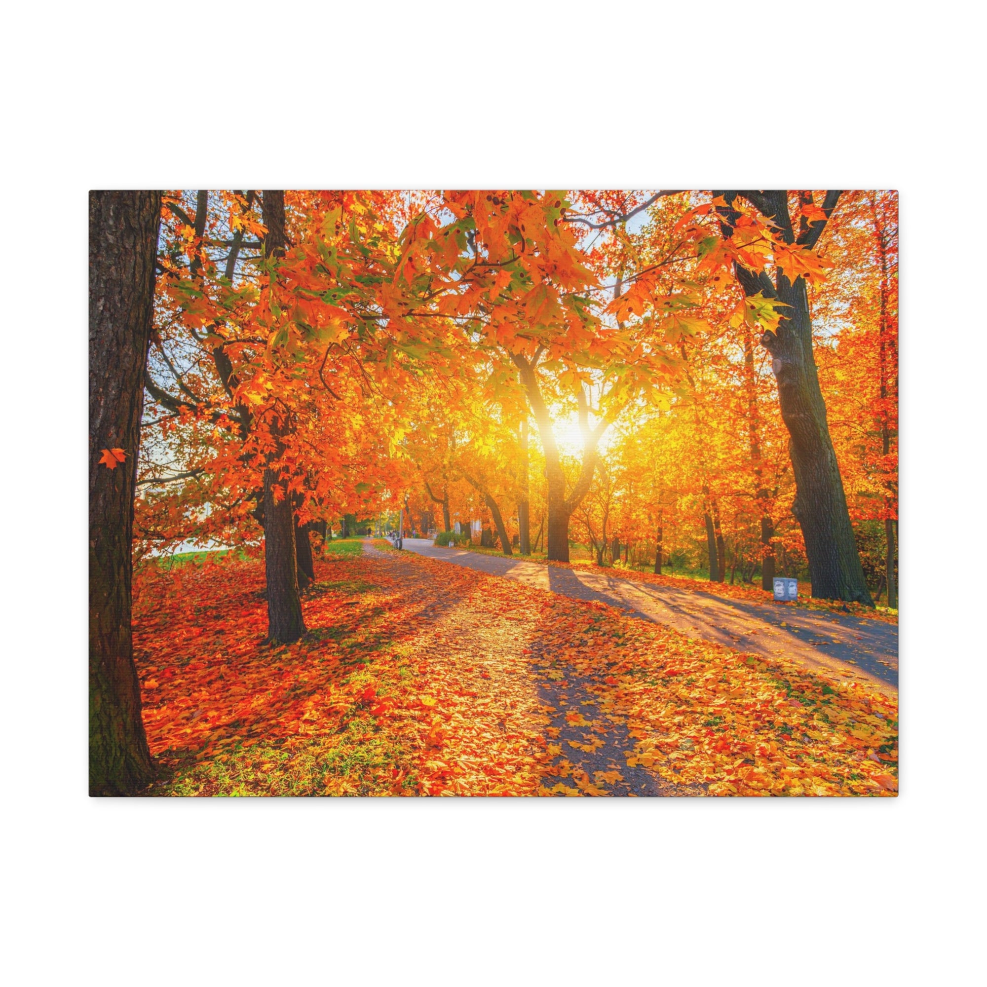 Autumn Forest Path Forest Floral Nature Photography Canvas Wall Art for Home Decor Ready-to-Hang-Express Your Love Gifts