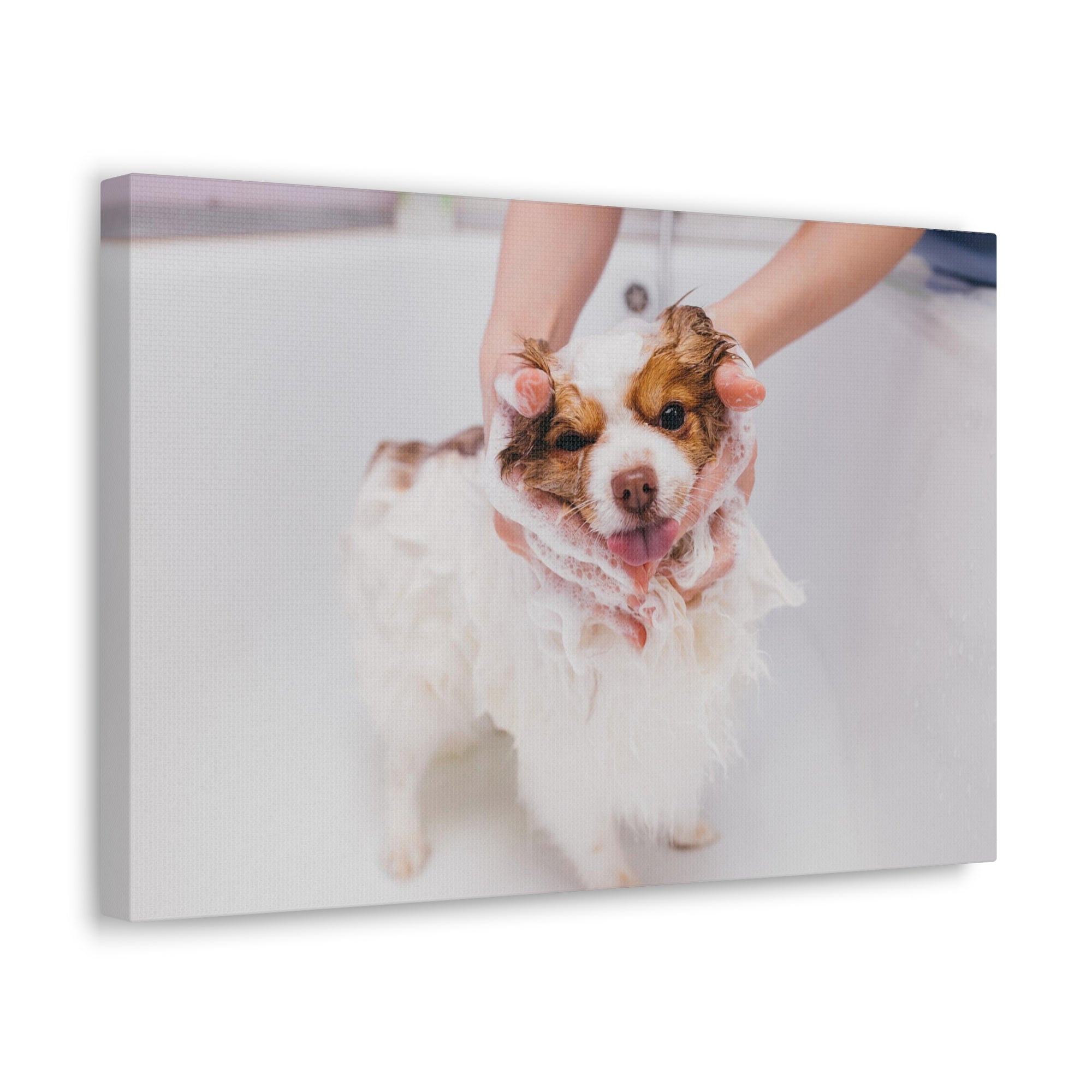 Funny Australian Shephard Bathee Canvas Wall Art for Home Decor Ready-to-Hang-Express Your Love Gifts