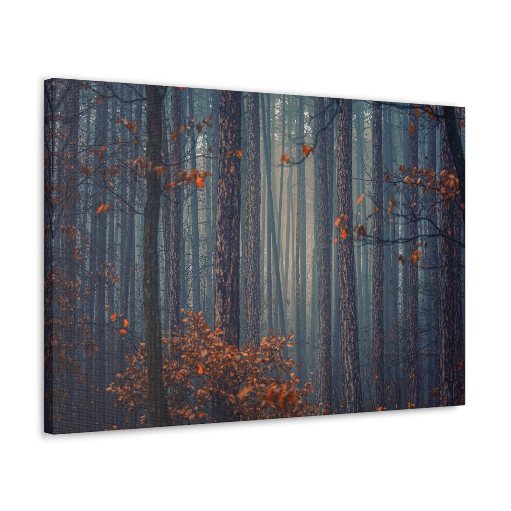 Autumn Forest Misty Orange Tree Leave Nature Wilderness Photography Canvas Wall Art for Home Decor Ready-to-Hang-Express Your Love Gifts