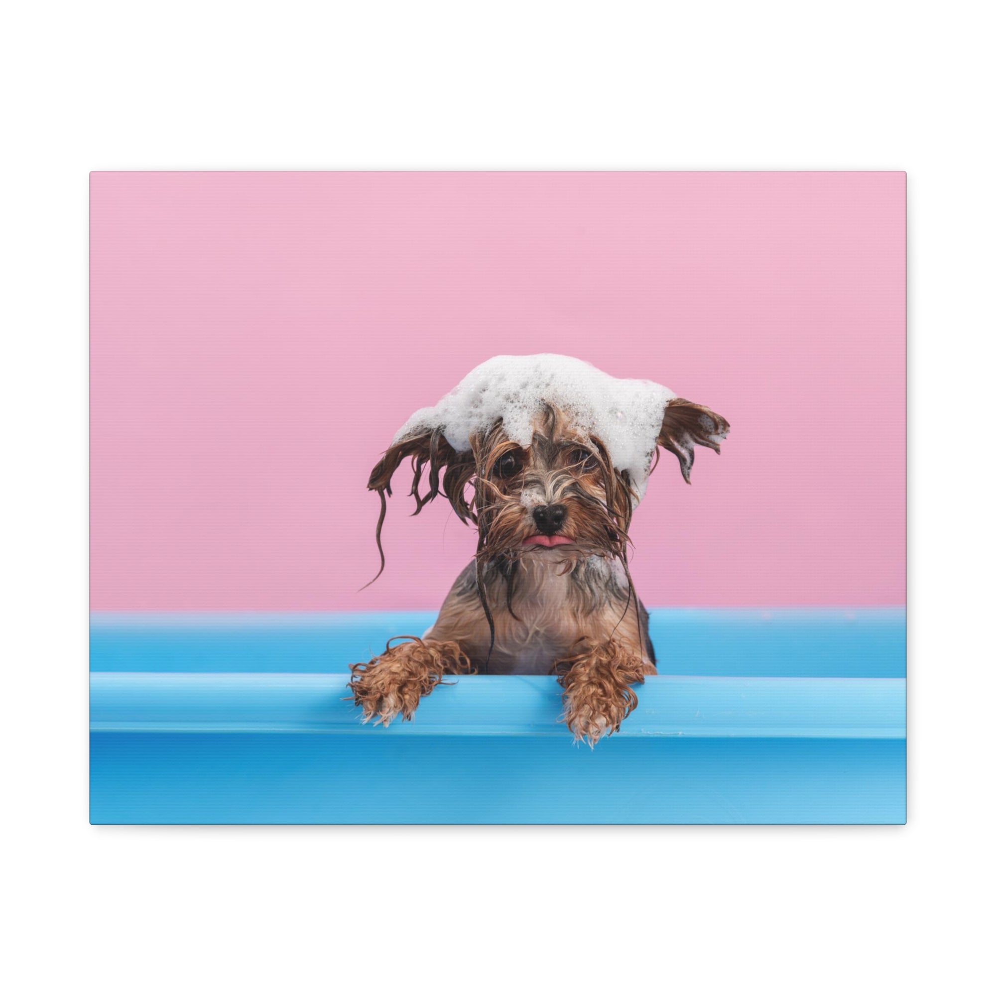 Funny Yorkshire Terrier Bathee Canvas Wall Art for Home Decor Ready-to-Hang-Express Your Love Gifts