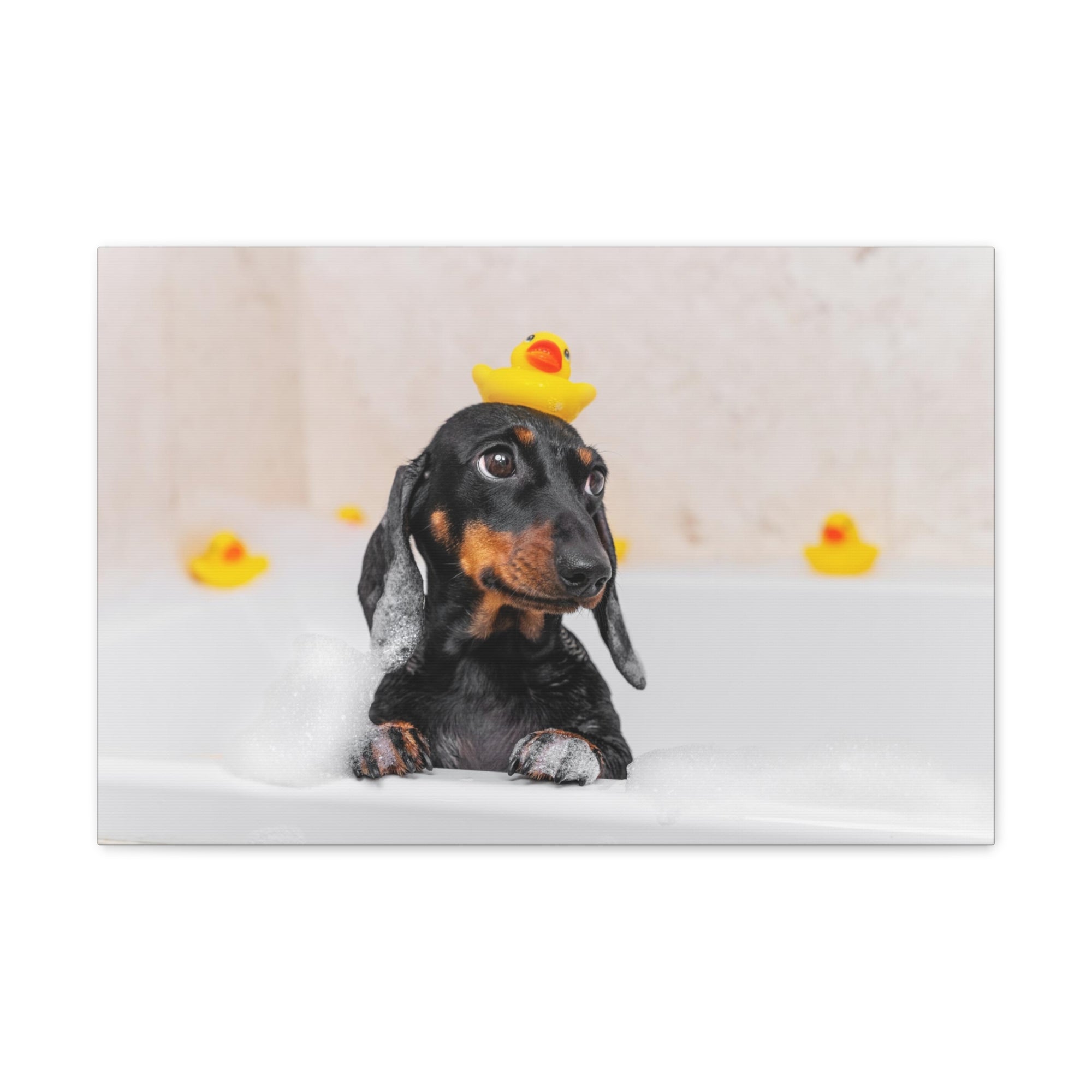 Dachshund In Bathtub With Yellow Duck On Toilet Funny Canvas Wall Art for Home Decor Ready-to-Hand-Express Your Love Gifts