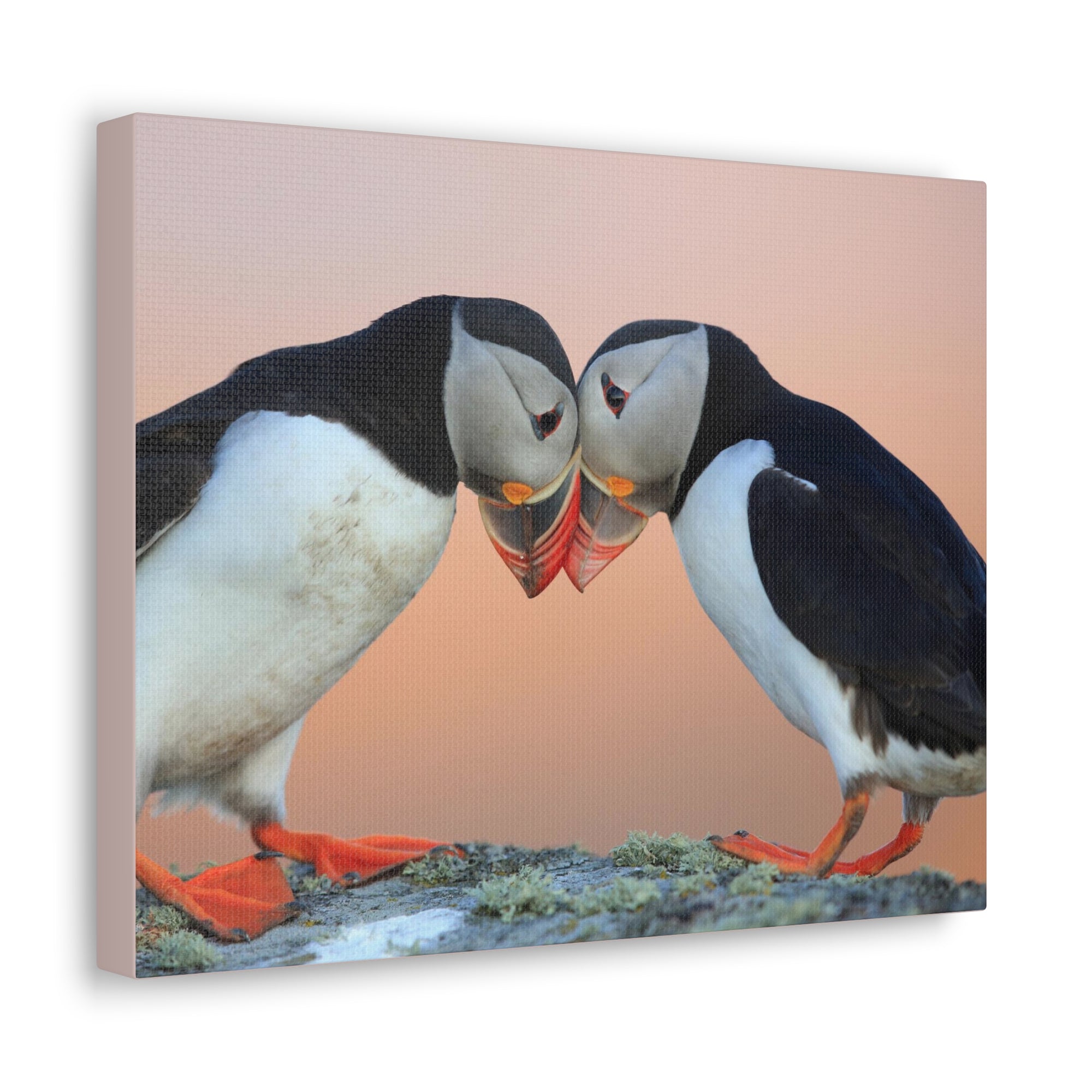 Funny Atlantic Puffin Silly Atlantic Puffin Couple Wall Art Ready to Hang-Express Your Love Gifts