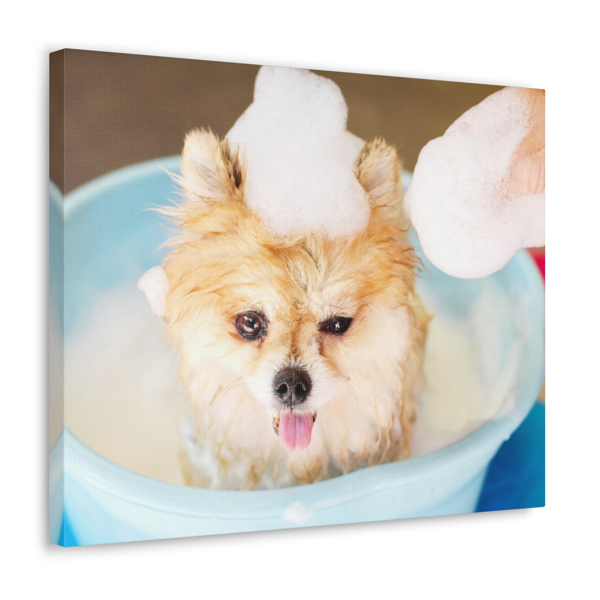 Funny Pomeranian Bathee Canvas Wall Art for Home Decor Ready-to-Hang-Express Your Love Gifts