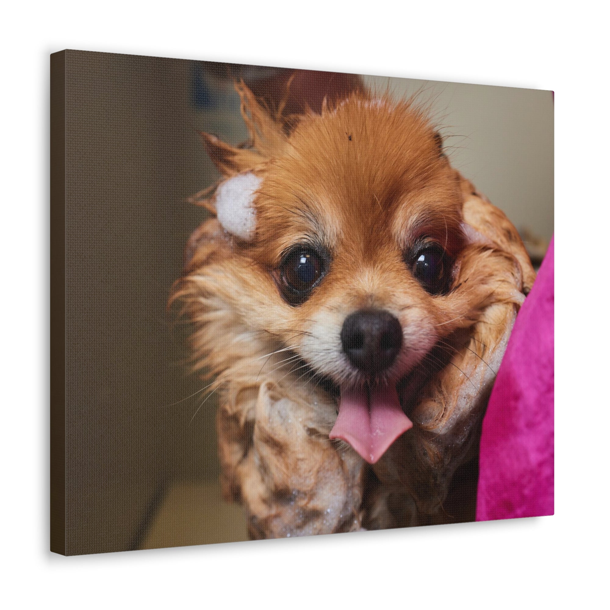 Funny Corgi Bathee Canvas Wall Art for Home Decor Ready-to-Hang-Express Your Love Gifts