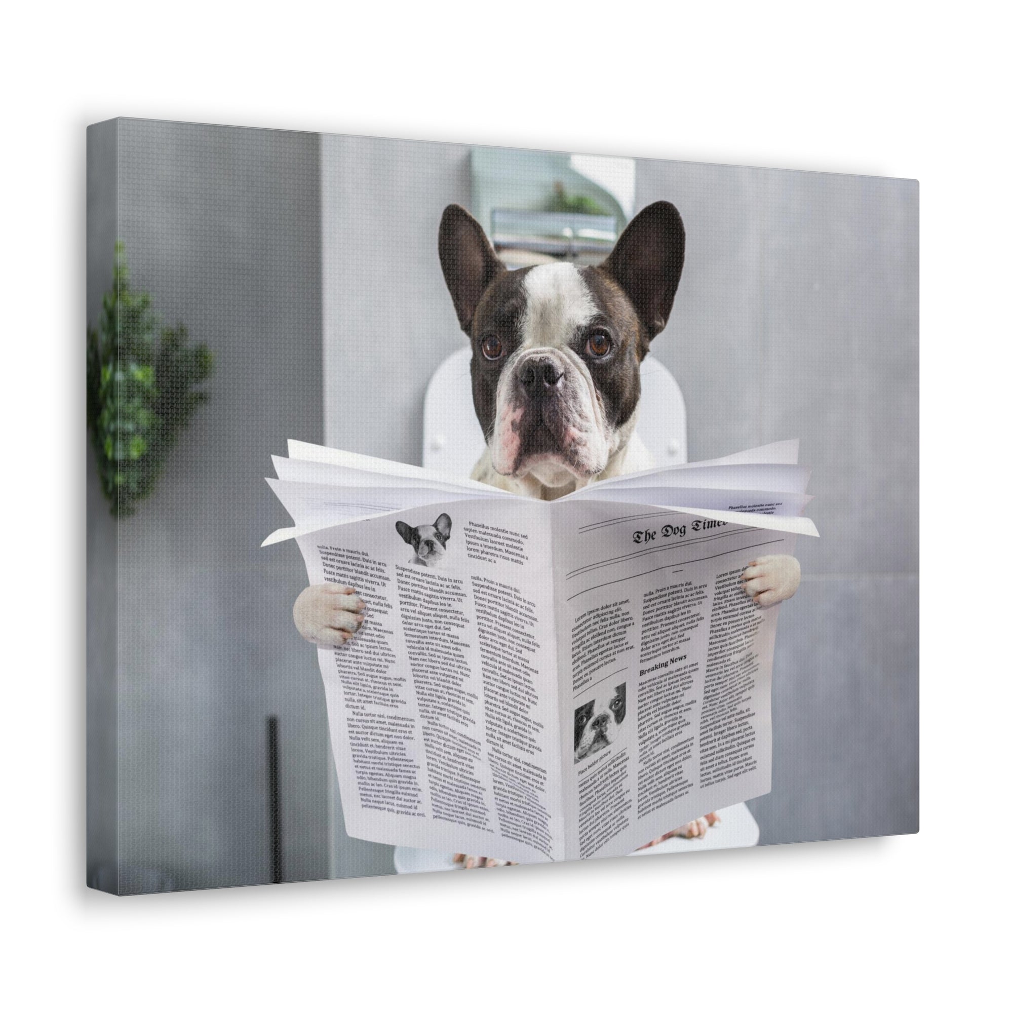 French bulldog Reading Newspaper On Toilet Funny Canvas Wall Art for Home Decor Ready-to-Hand-Express Your Love Gifts