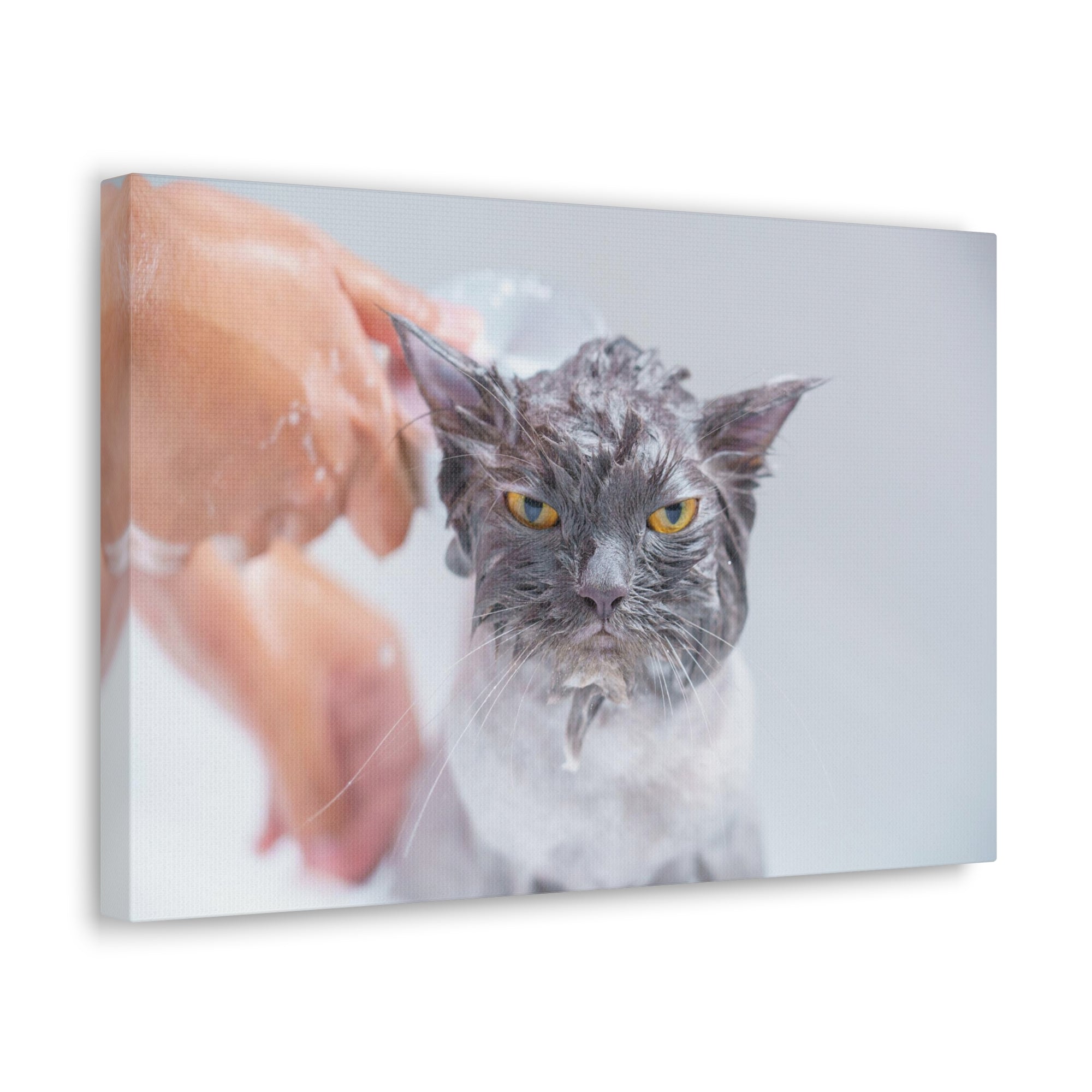 Funny Persian Cat Bathee Canvas Wall Art for Home Decor Ready-to-Hang-Express Your Love Gifts