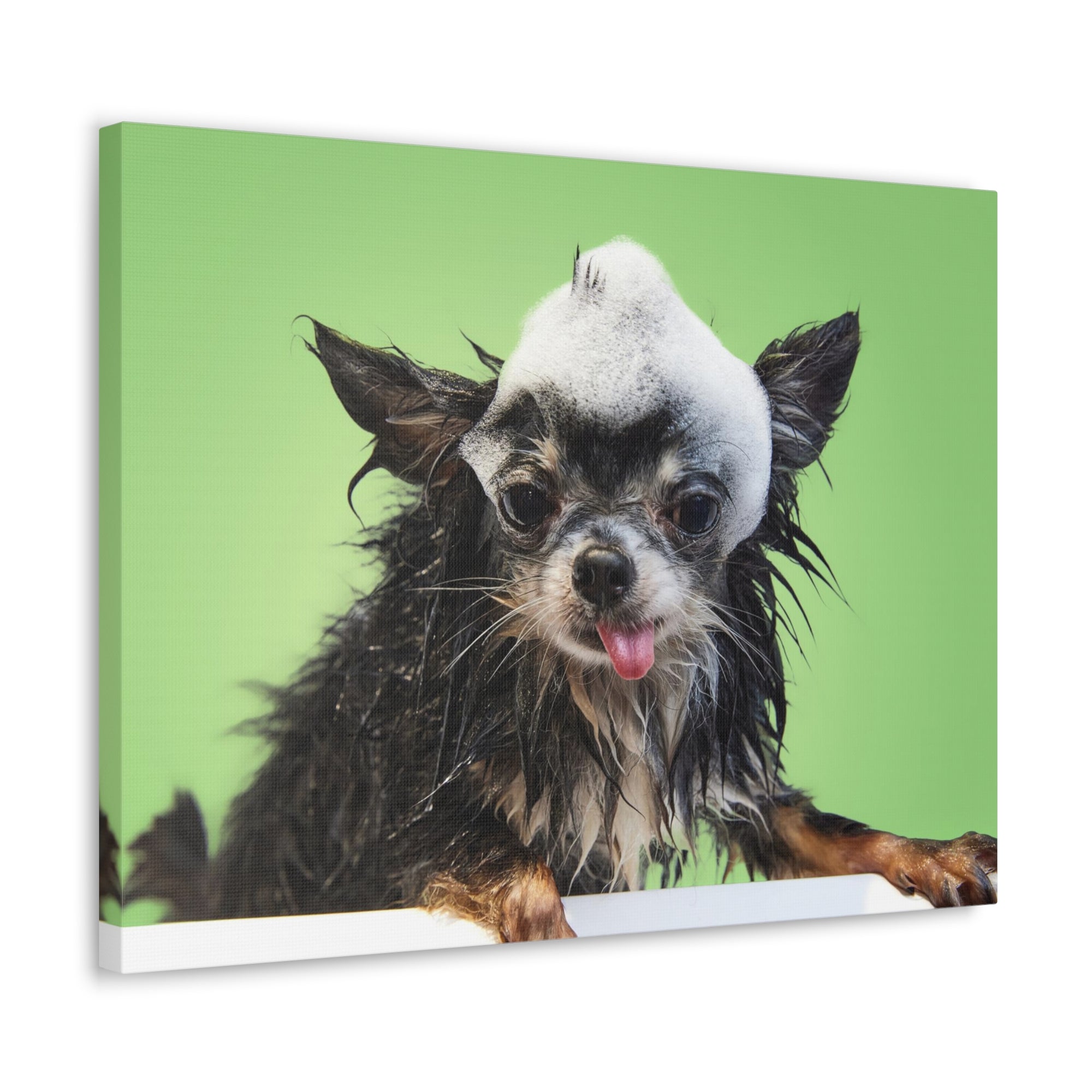 Funny Chihuahua Bath Canvas Wall Art for Home Decor Ready-to-Hang-Express Your Love Gifts