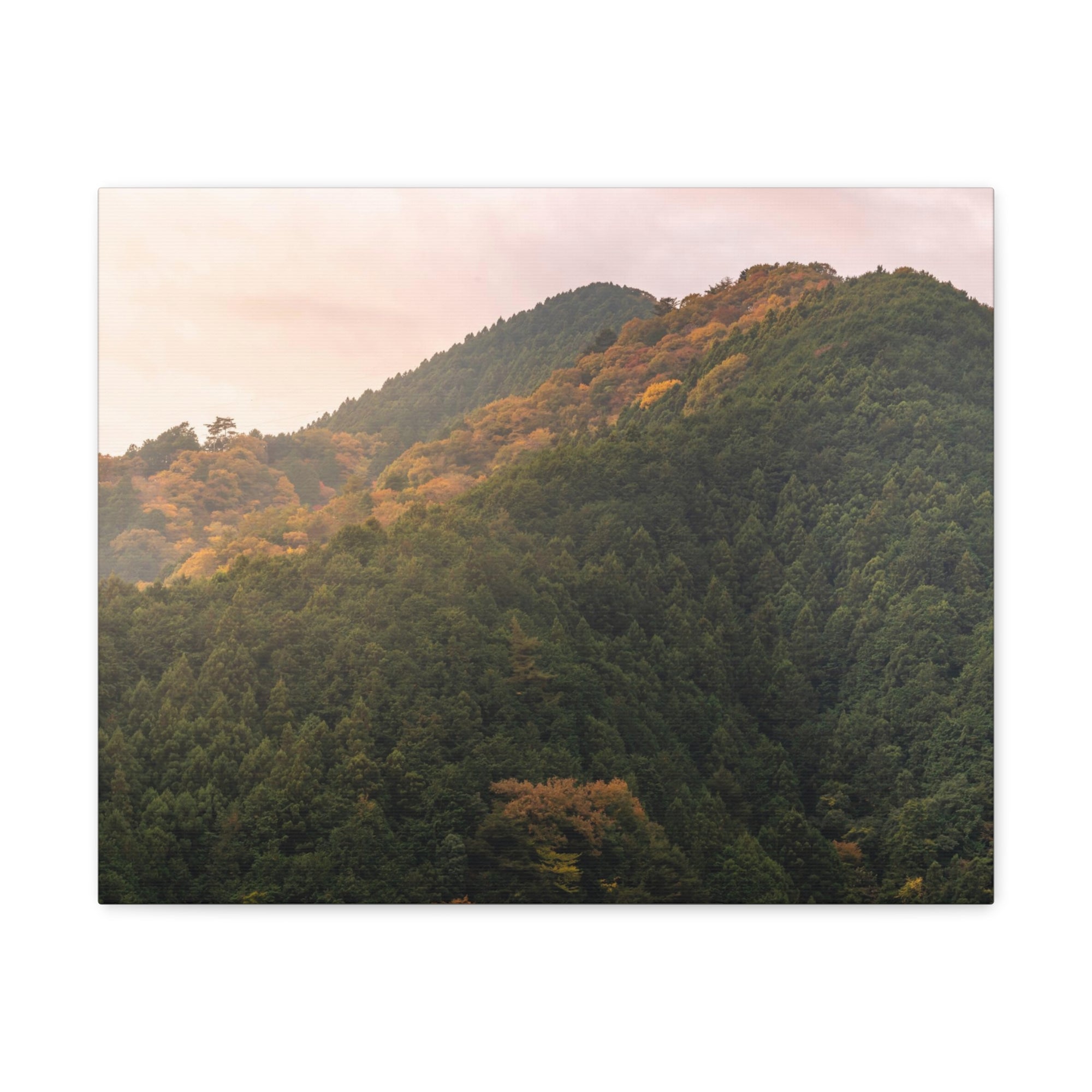 Beautiful Golden MountainsNature Wilderness Photography Canvas Wall Art for Home Decor Ready-to-Hang-Express Your Love Gifts