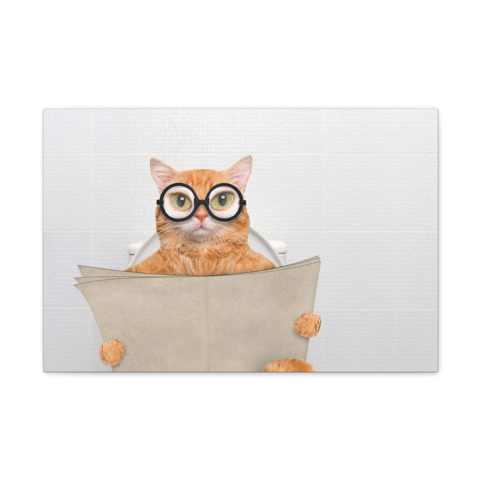 Cat Wearing Glasses Reading Newspaper On Toilet Funny Canvas Wall Art for Home Decor Ready-to-Hand-Express Your Love Gifts