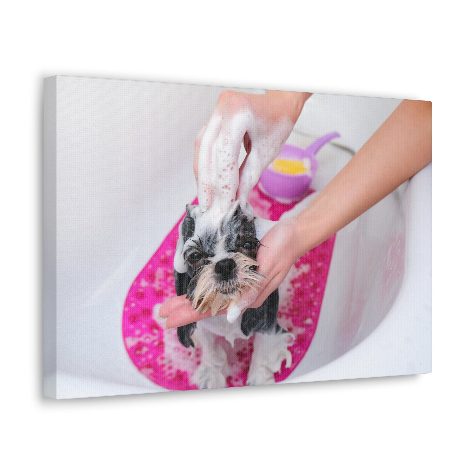 Funny Shih Tzu Bathee Canvas Wall Art for Home Decor Ready-to-Hang-Express Your Love Gifts