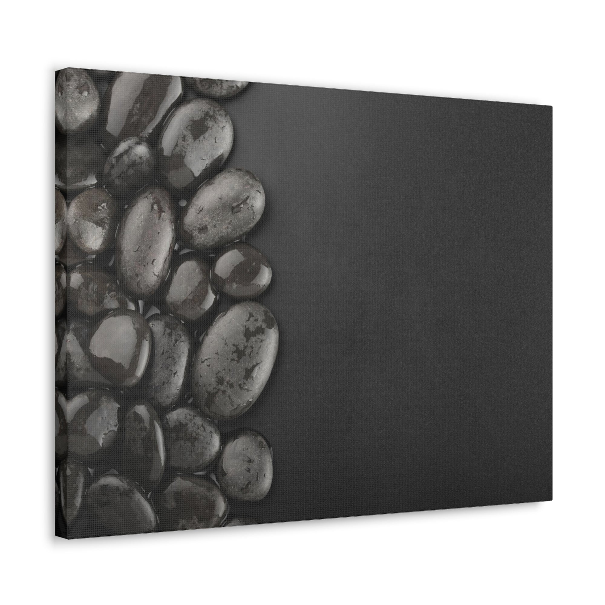 Black Background with Rocks Forest Floral Nature Photography Canvas Wall Art for Home Decor Ready-to-Hang-Express Your Love Gifts