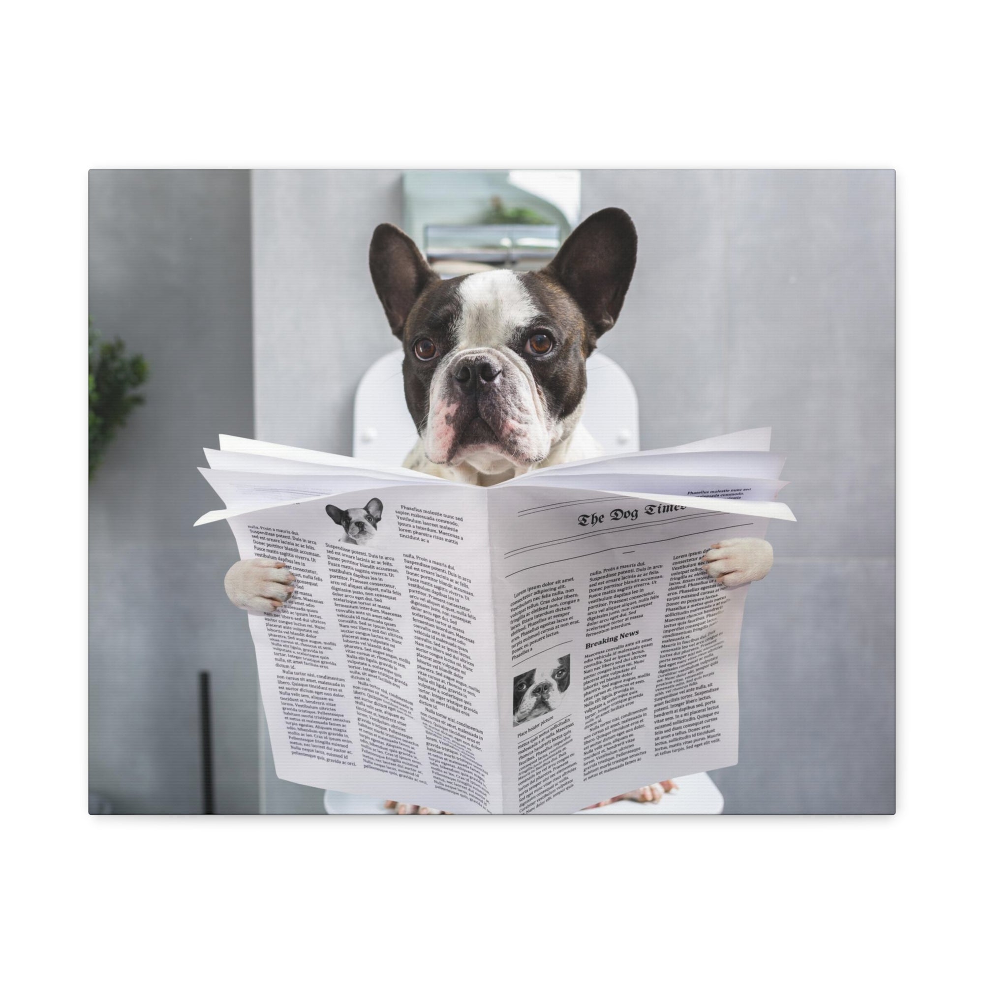 French bulldog Reading Newspaper On Toilet Funny Canvas Wall Art for Home Decor Ready-to-Hand-Express Your Love Gifts