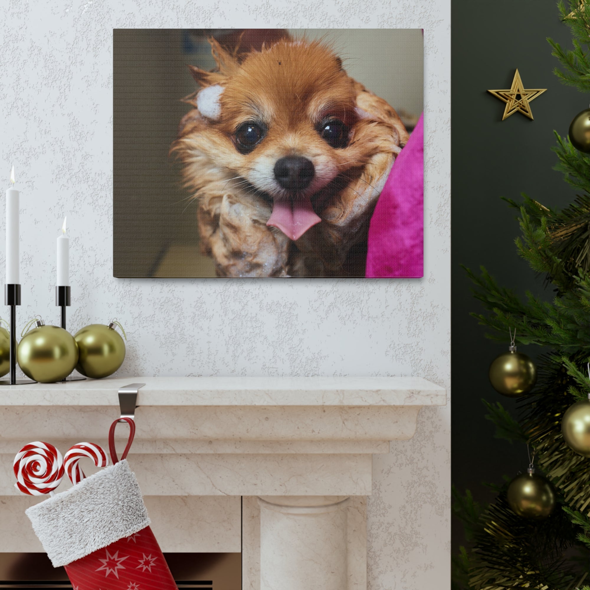 Funny Corgi Bathee Canvas Wall Art for Home Decor Ready-to-Hang-Express Your Love Gifts