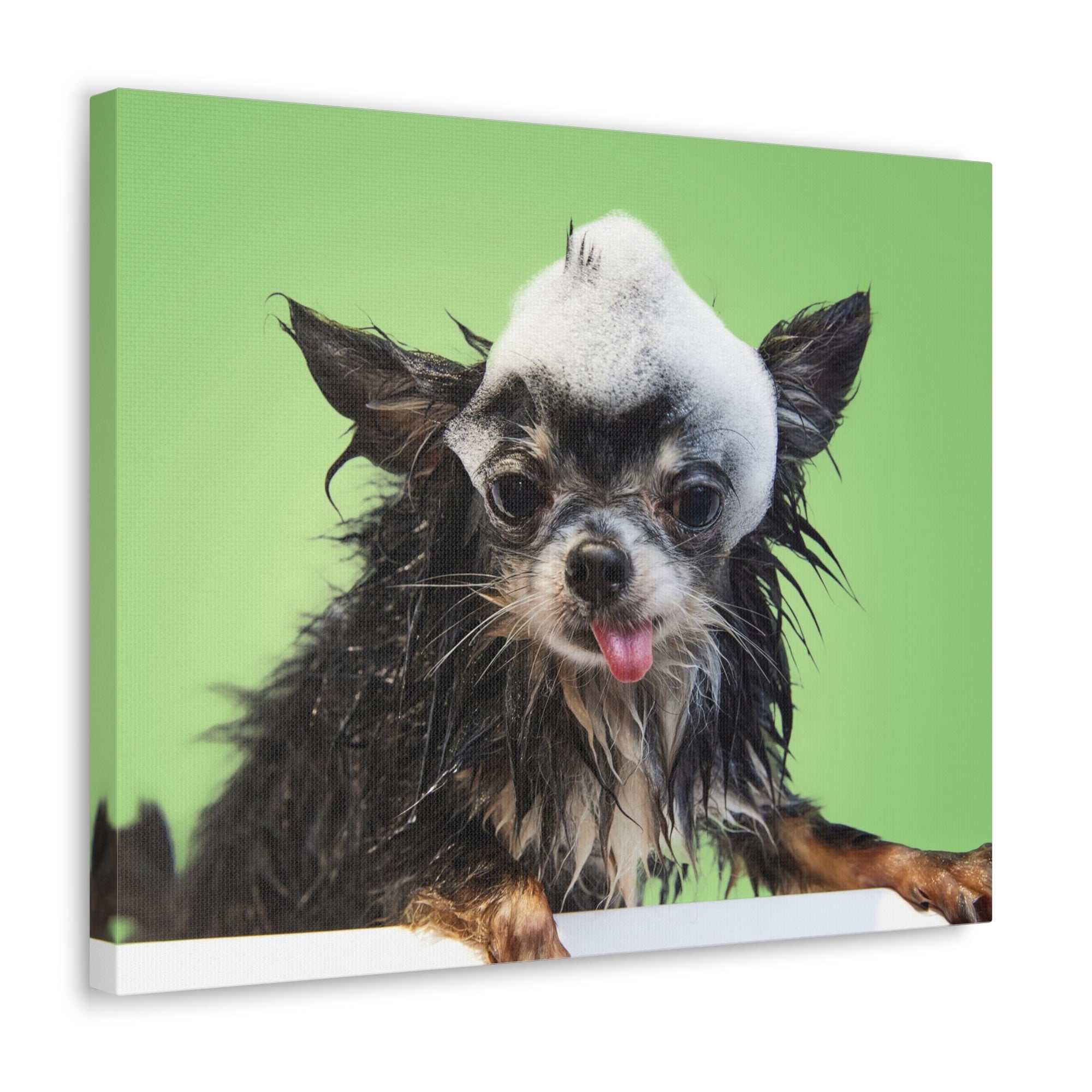 Funny Chihuahua Bath Canvas Wall Art for Home Decor Ready-to-Hang-Express Your Love Gifts