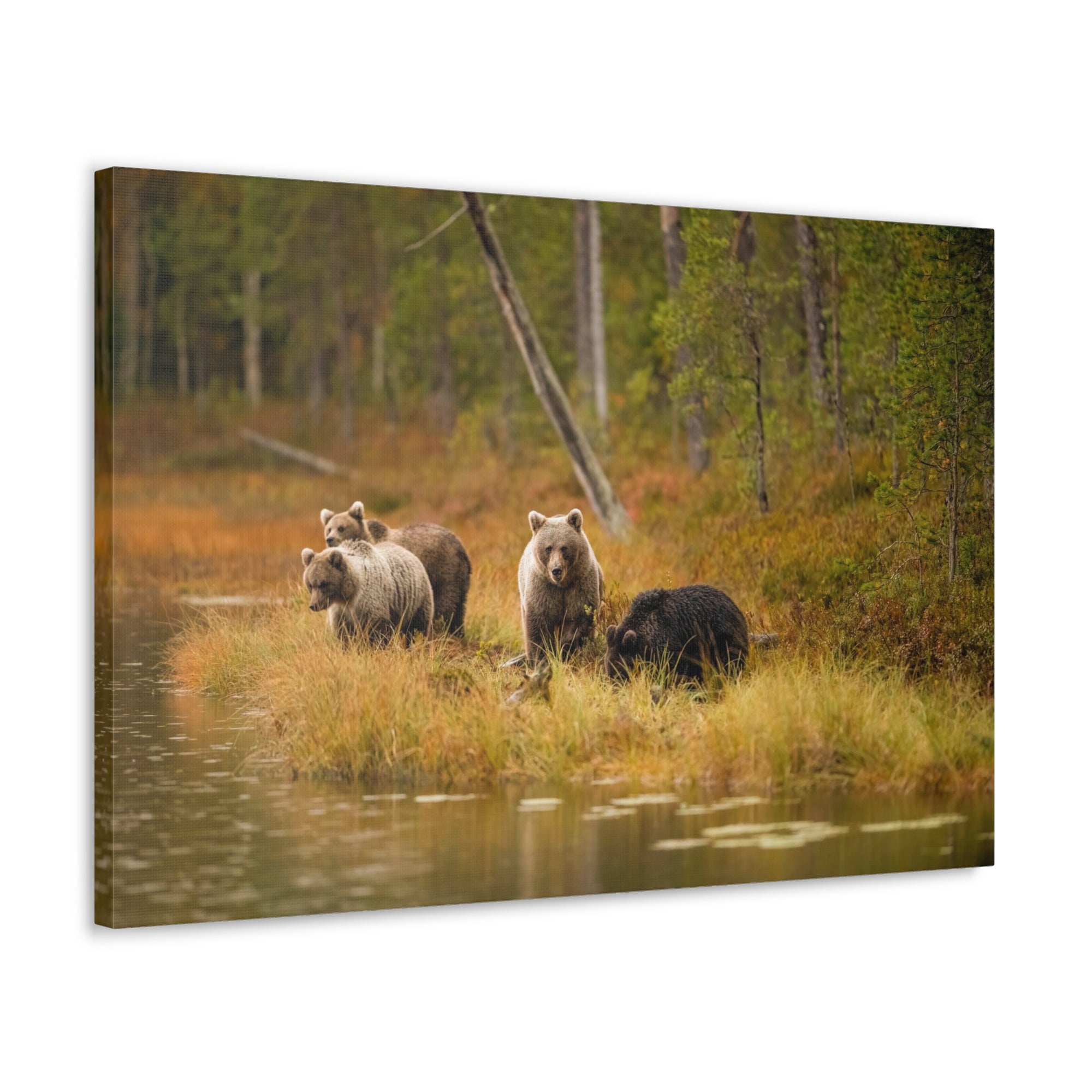 Bears In Spring Forest Nature Wilderness Photography Canvas Wall Art for Home Decor Ready-to-Hang-Express Your Love Gifts