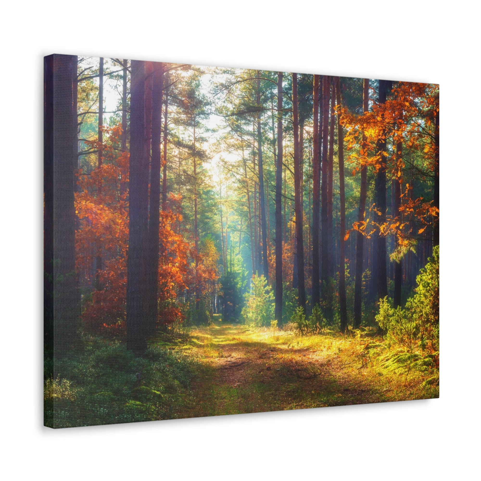 Autumn Fall Leaf Forest Nature Wilderness Photography Canvas Wall Art for Home Decor Ready-to-Hang-Express Your Love Gifts