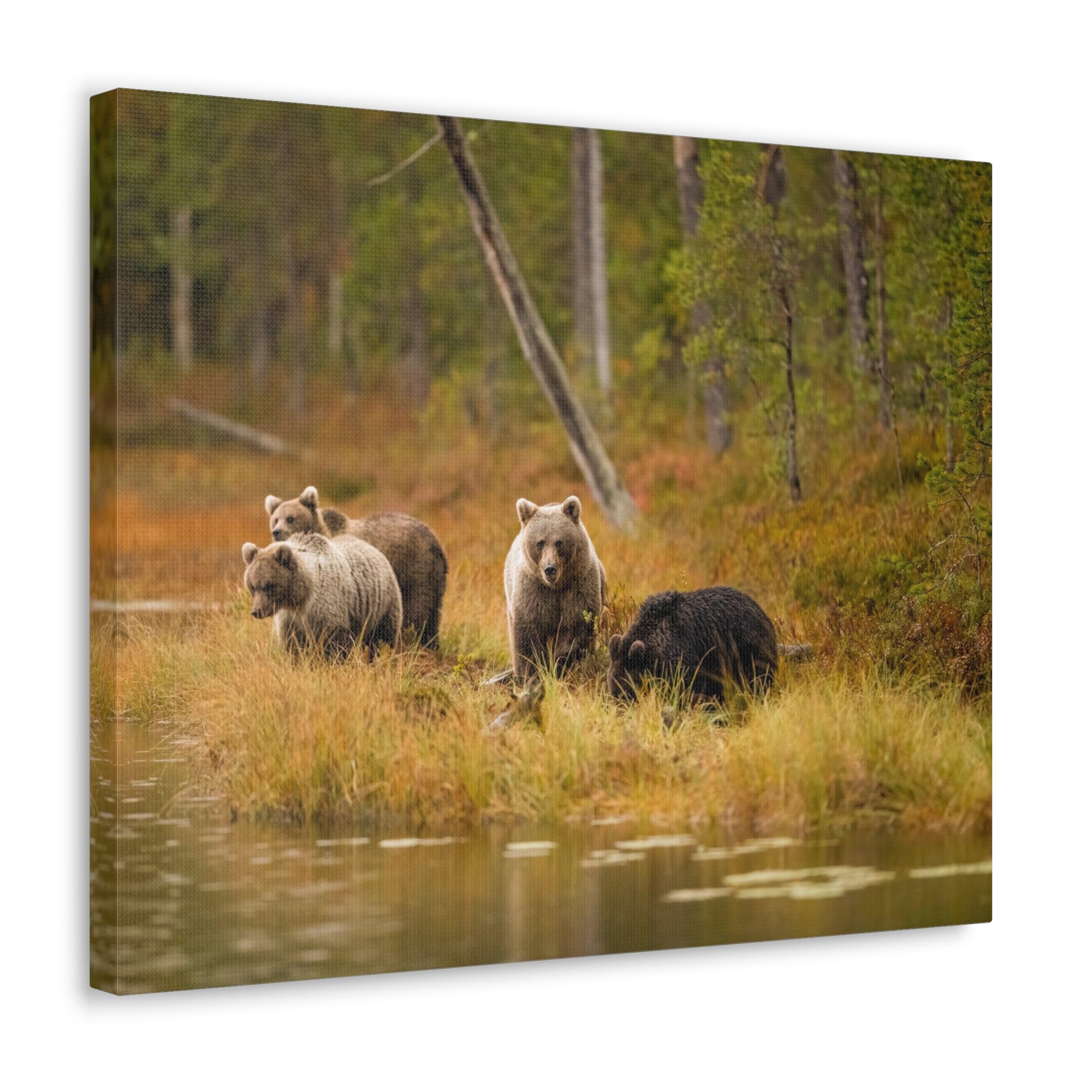 Bears In Spring Forest Nature Wilderness Photography Canvas Wall Art for Home Decor Ready-to-Hang-Express Your Love Gifts