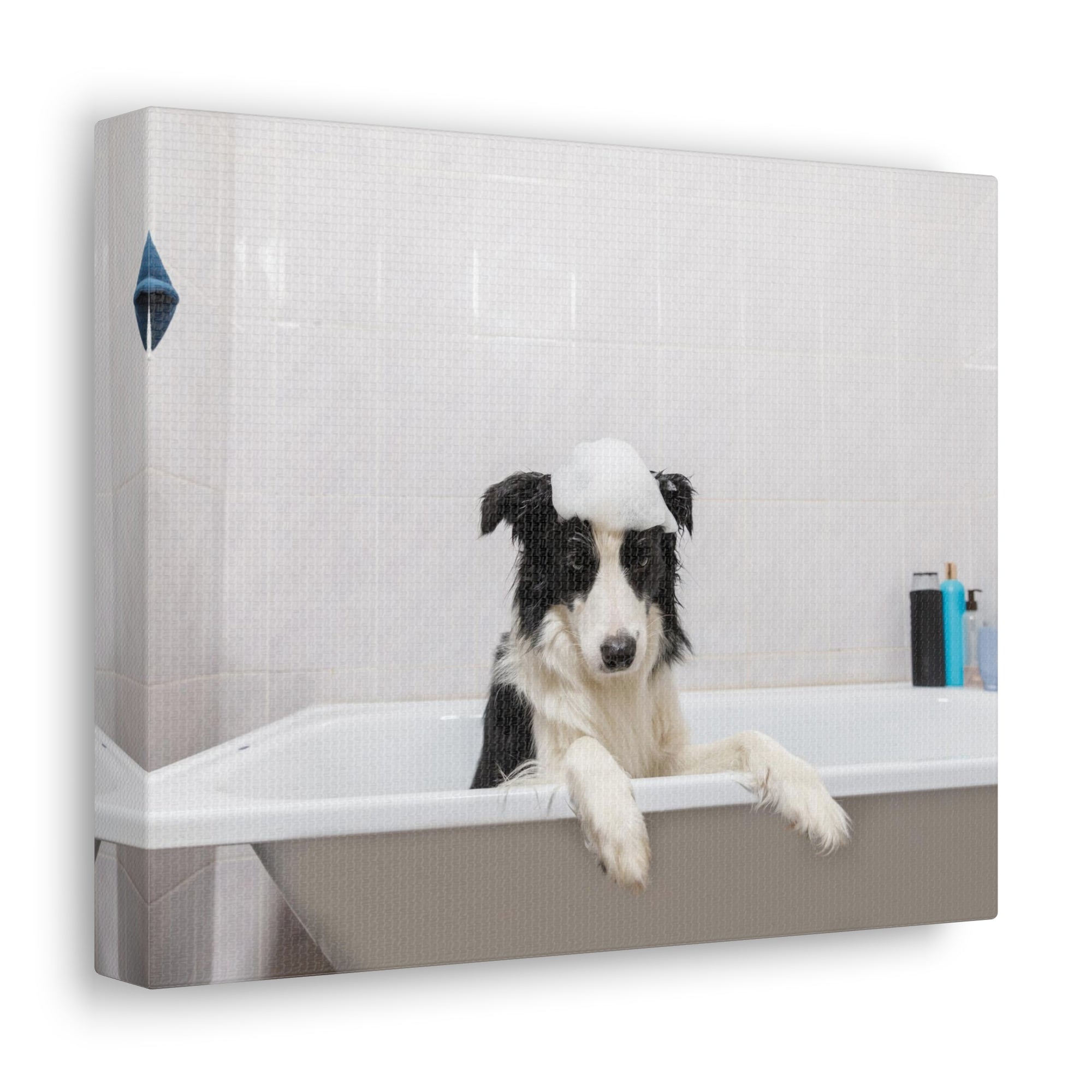 Funny Border Collie Bathee Canvas Wall Art for Home Decor Ready-to-Hang-Express Your Love Gifts