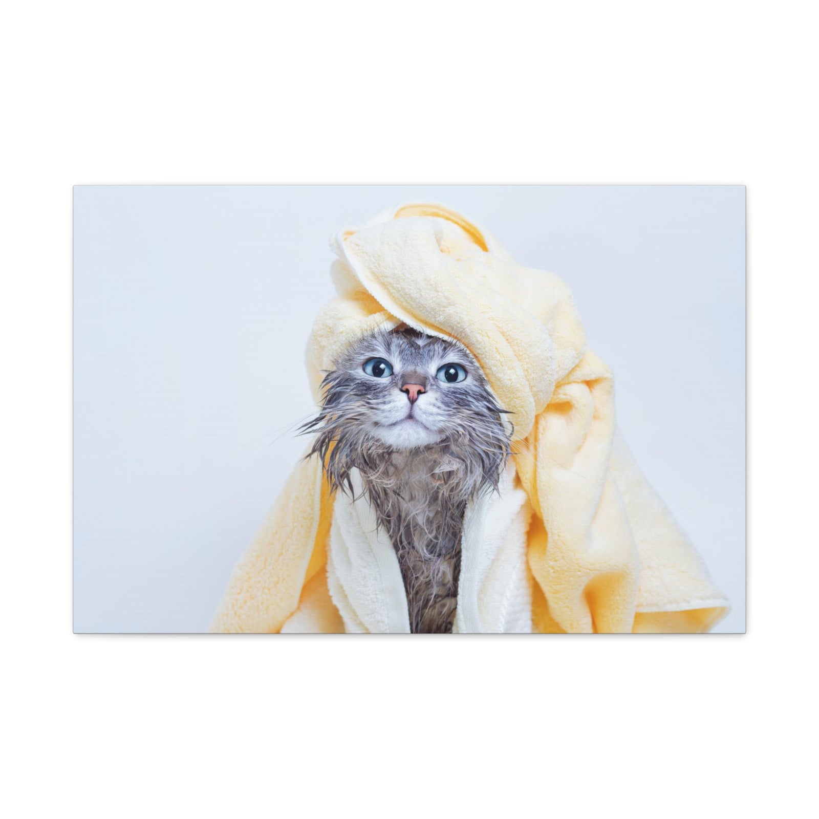 Funny Tabby Cat Bathee Canvas Wall Art for Home Decor Ready-to-Hang-Express Your Love Gifts