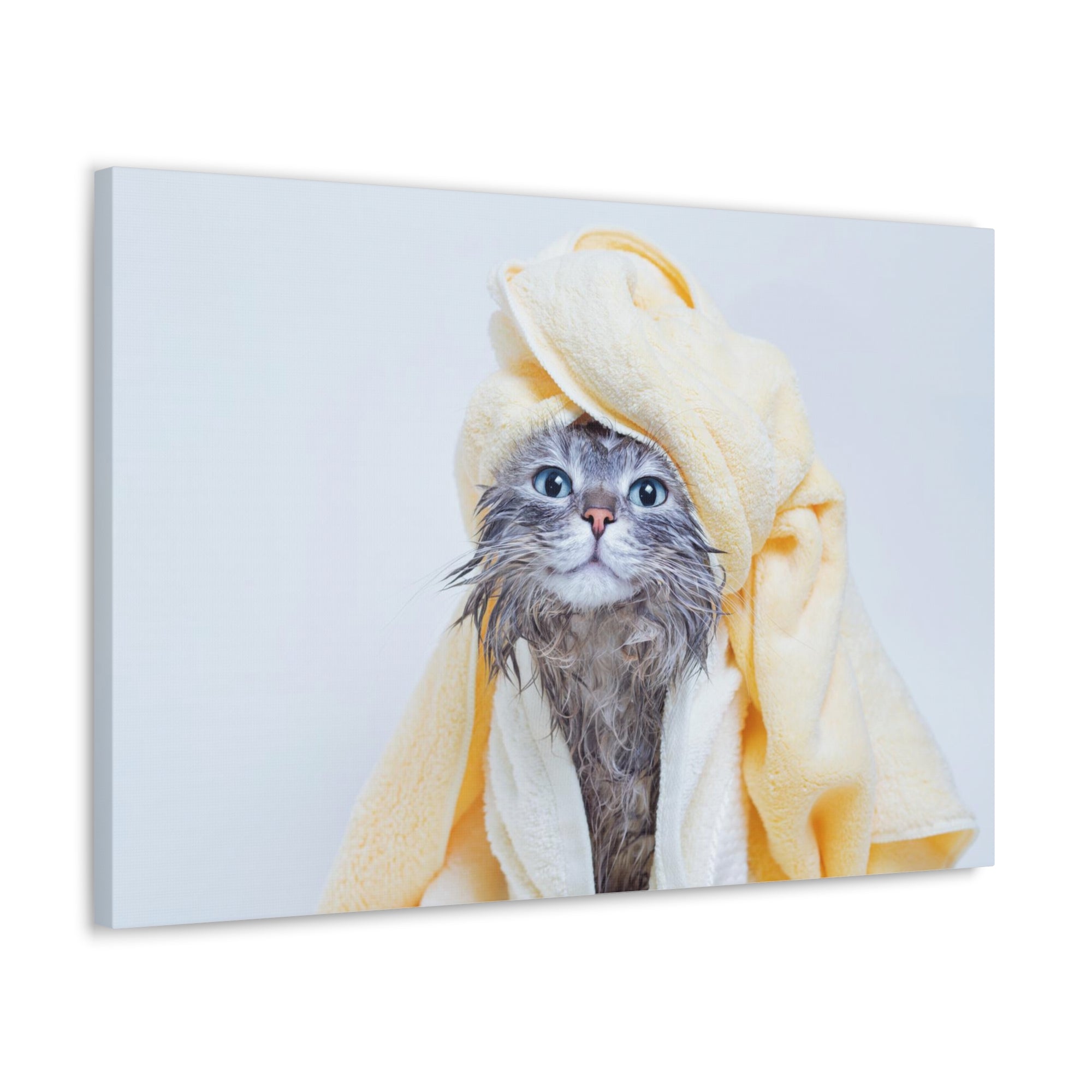 Funny Tabby Cat Bathee Canvas Wall Art for Home Decor Ready-to-Hang-Express Your Love Gifts