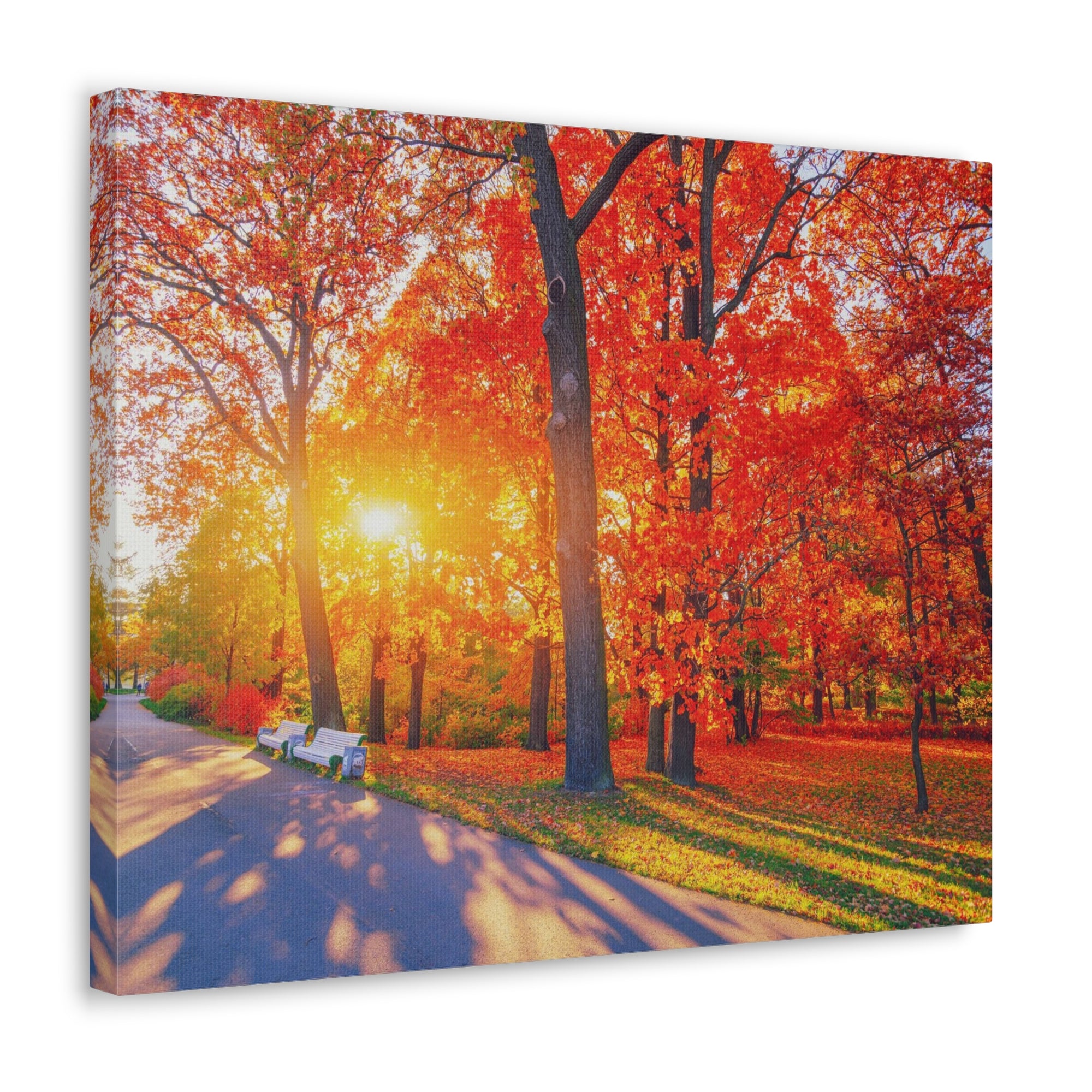 Autumn Path Orange Tree Trail Nature Wilderness Photography Canvas Wall Art for Home Decor Ready-to-Hang-Express Your Love Gifts