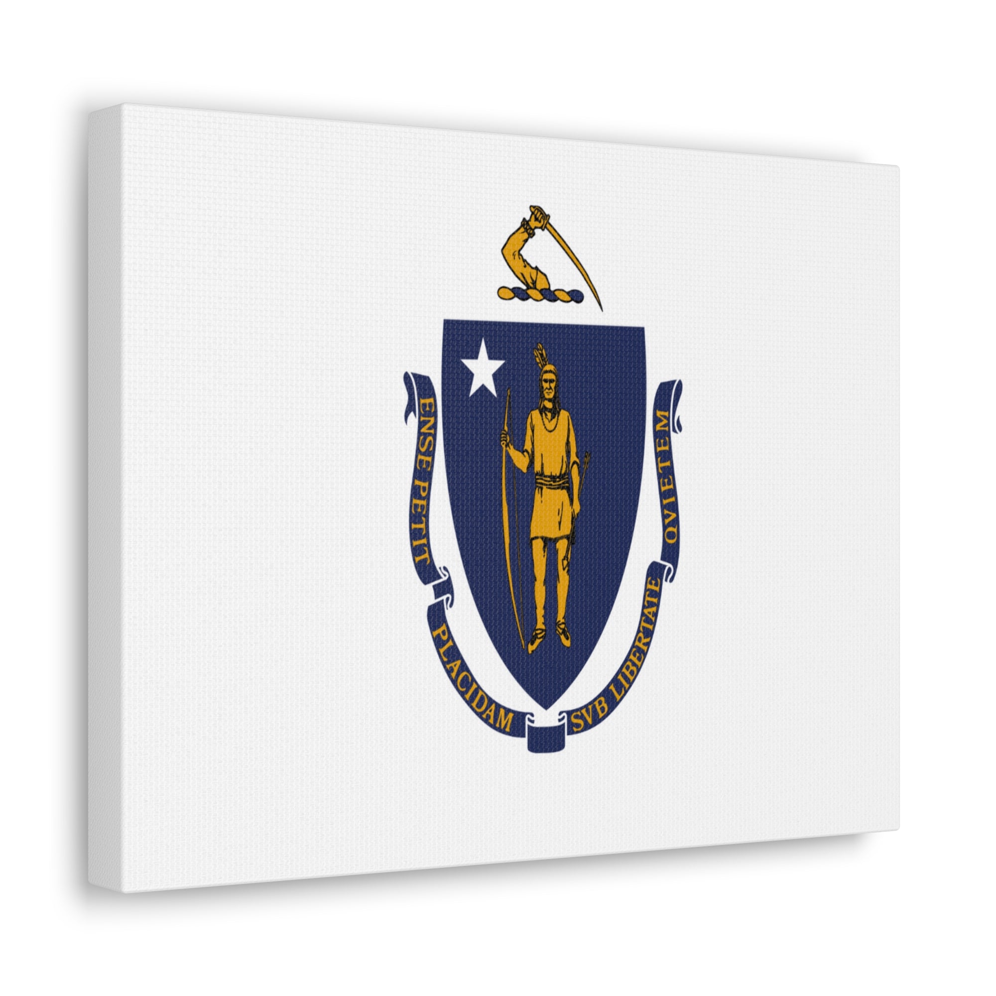 Massachusetts Stage Flag Canvas Vibrant Wall Art Unframed Home Decor-Express Your Love Gifts