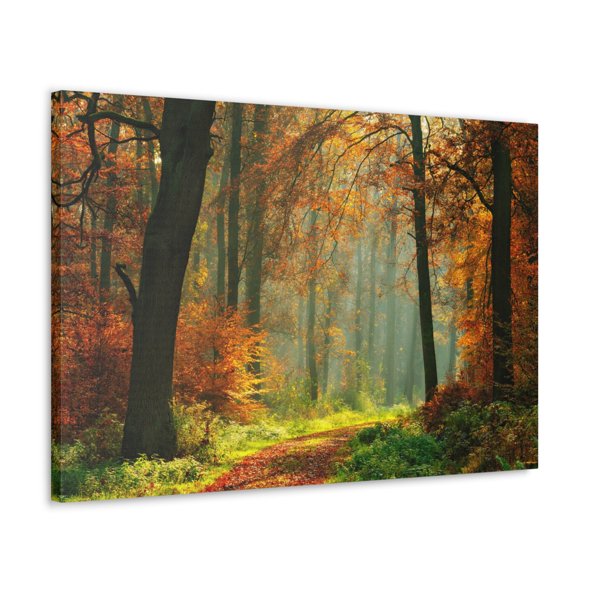 Autumn Tree Trail Forest Nature Wilderness Photography Canvas Wall Art for Home Decor Ready-to-Hang-Express Your Love Gifts