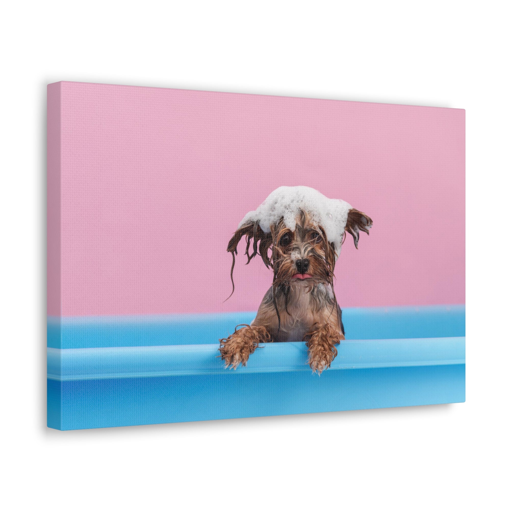 Funny Yorkshire Terrier Bathee Canvas Wall Art for Home Decor Ready-to-Hang-Express Your Love Gifts