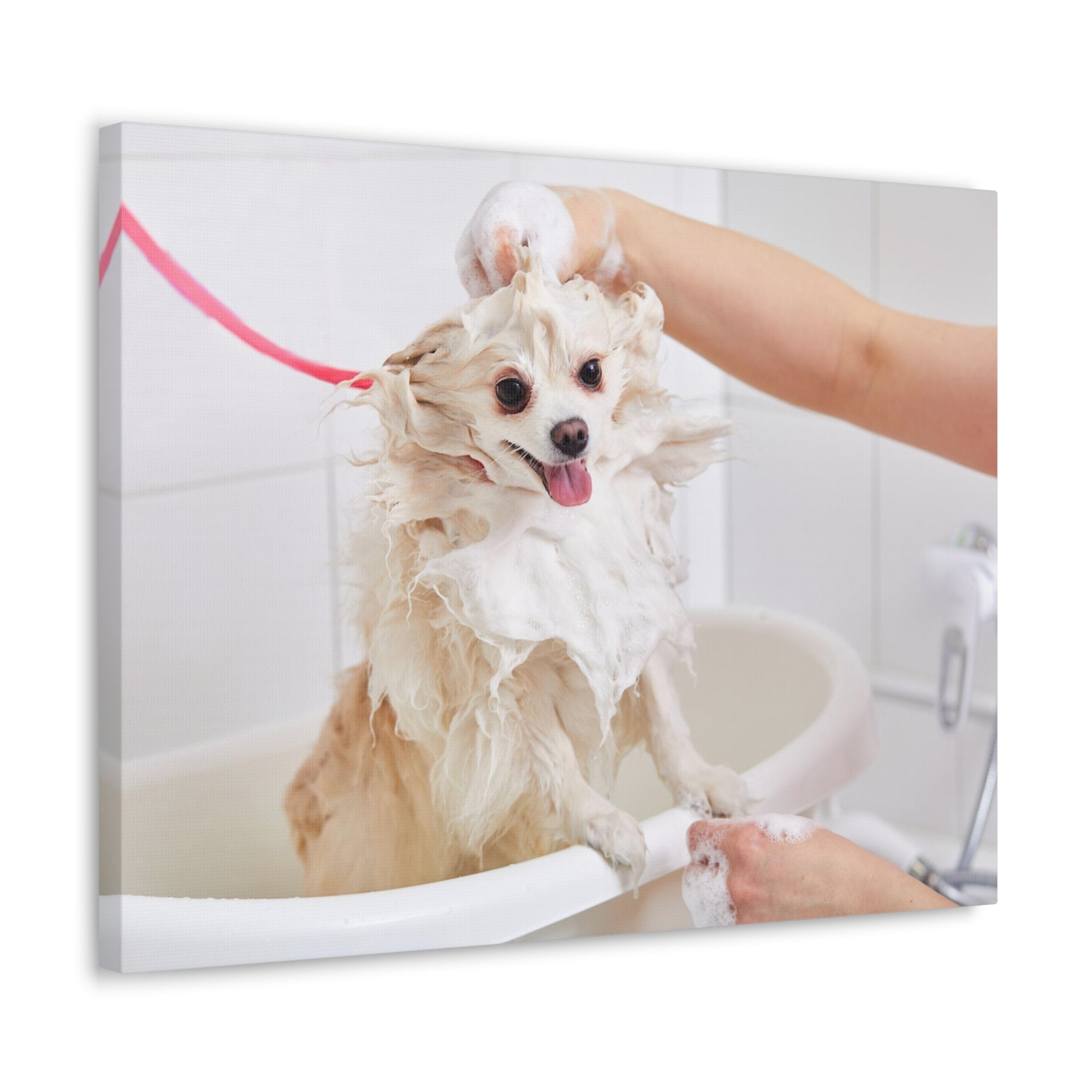 Funny Chihuahua Bathee Canvas Wall Art for Home Decor Ready-to-Hang-Express Your Love Gifts