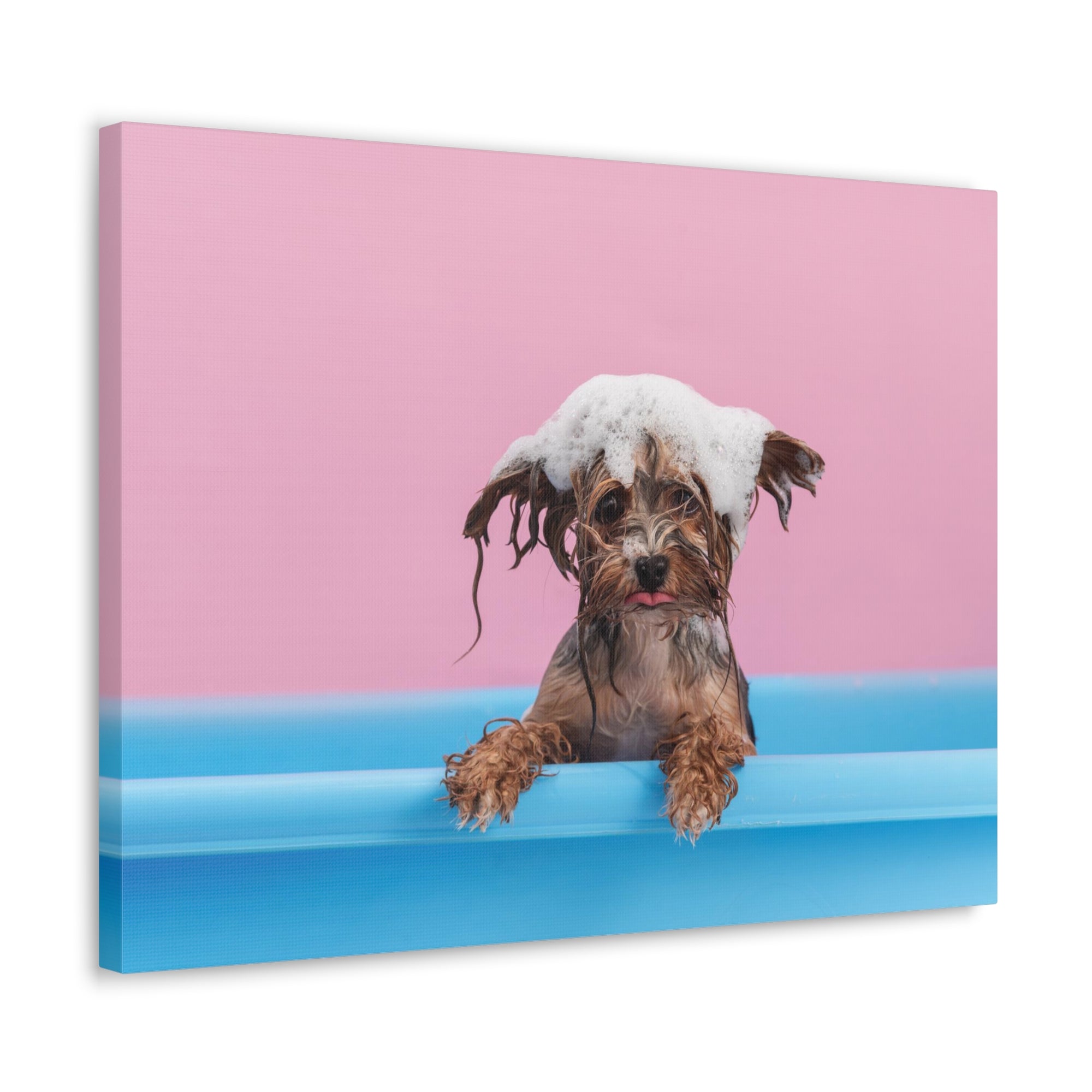 Funny Yorkshire Terrier Bathee Canvas Wall Art for Home Decor Ready-to-Hang-Express Your Love Gifts