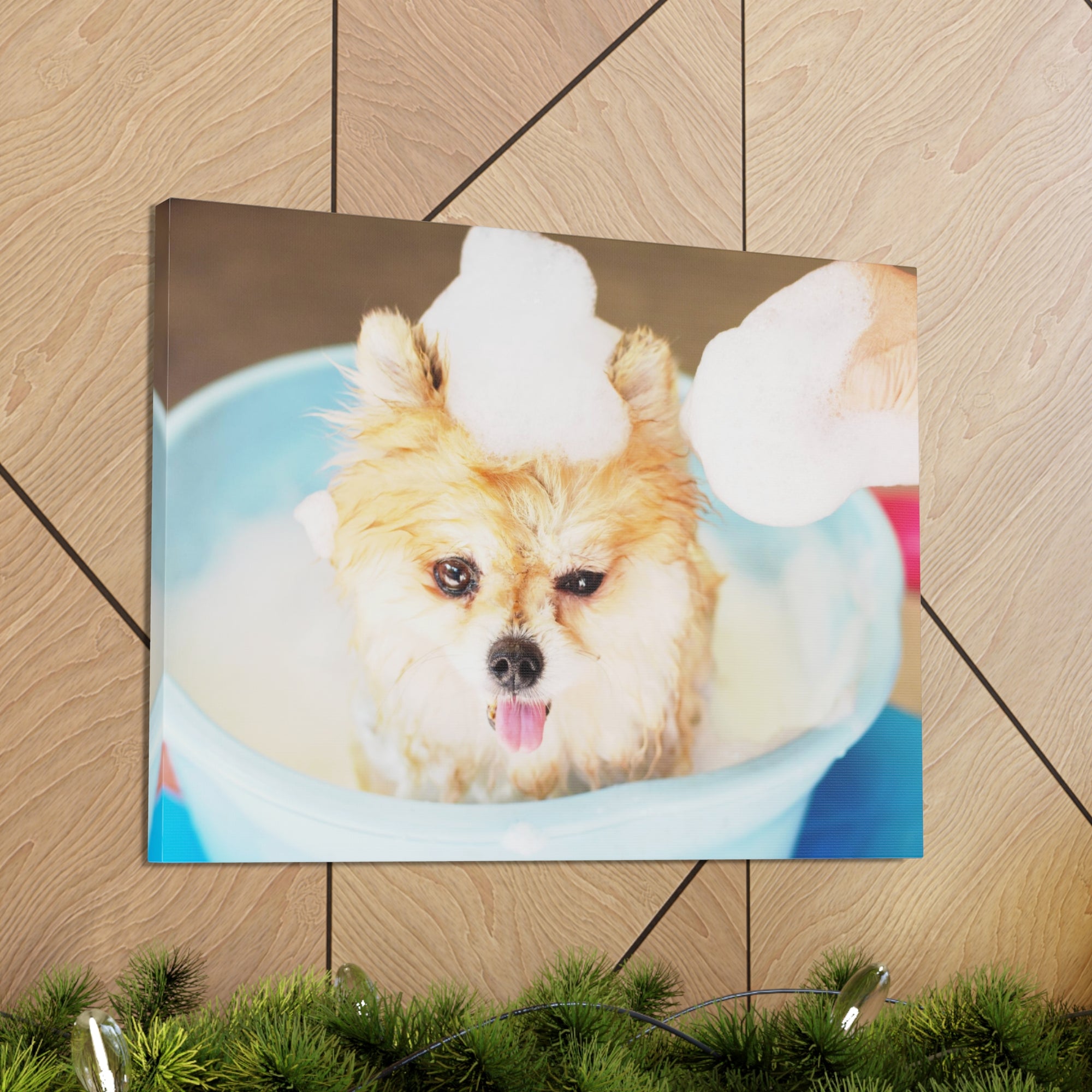 Funny Pomeranian Bathee Canvas Wall Art for Home Decor Ready-to-Hang-Express Your Love Gifts