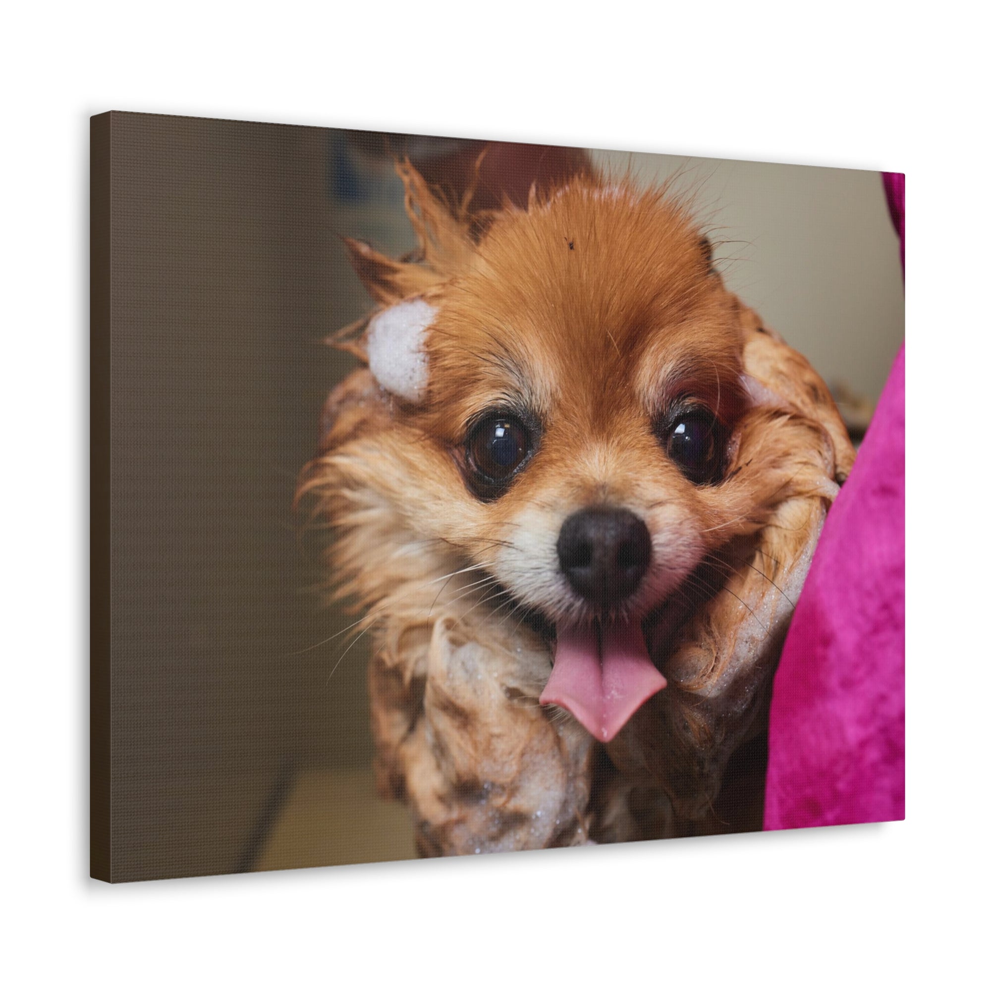 Funny Corgi Bathee Canvas Wall Art for Home Decor Ready-to-Hang-Express Your Love Gifts