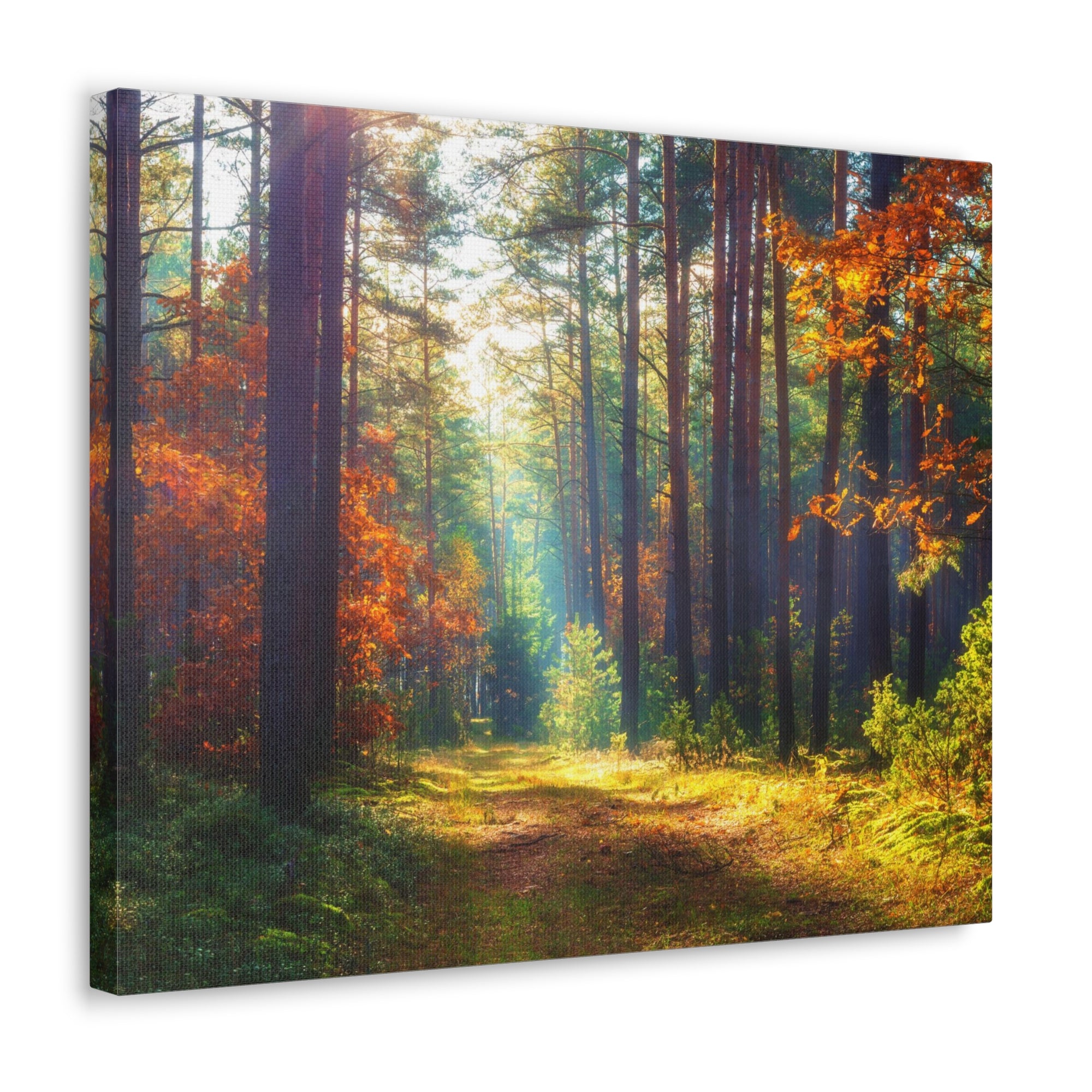 Autumn Fall Leaf Forest Nature Wilderness Photography Canvas Wall Art for Home Decor Ready-to-Hang-Express Your Love Gifts