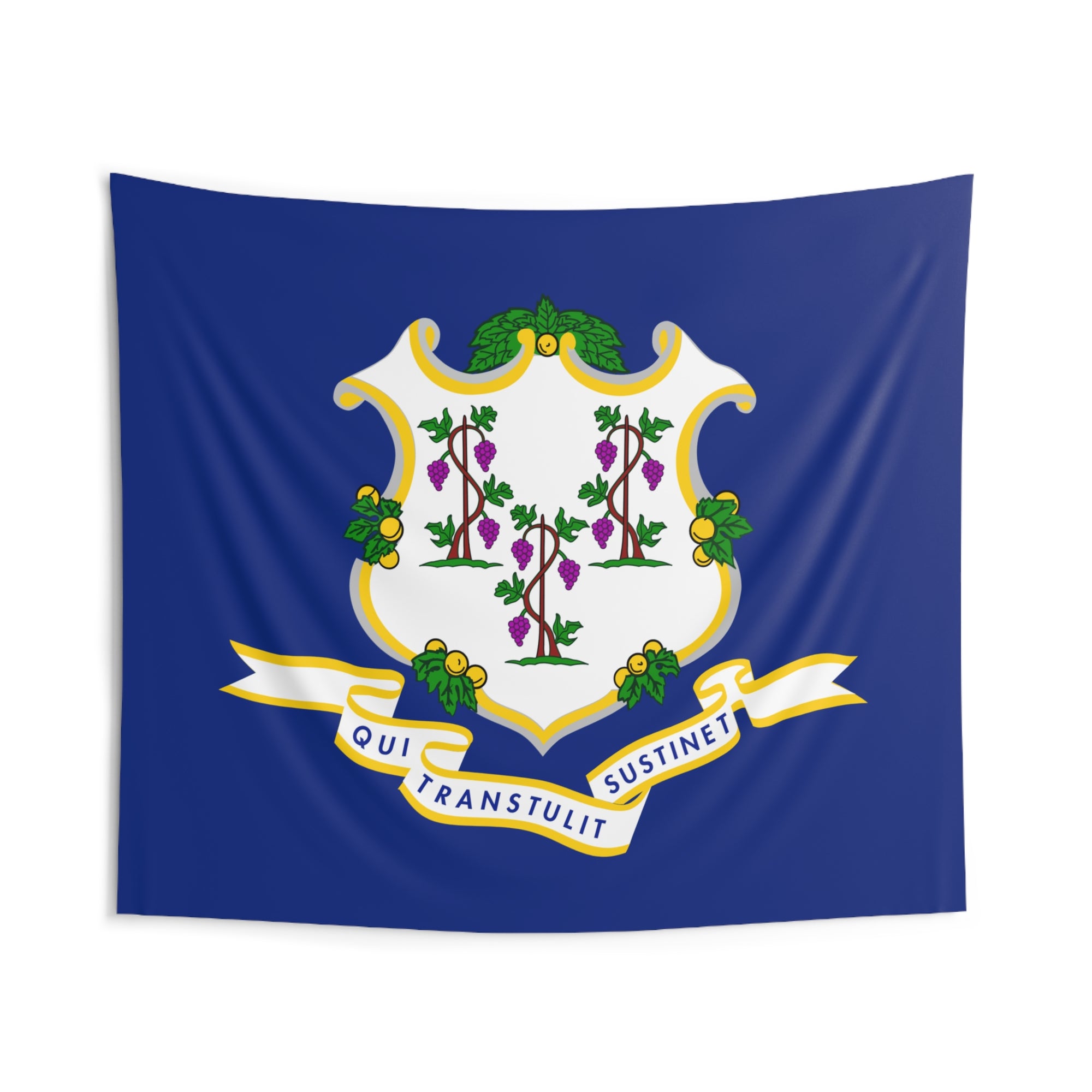 Connecticut State Flag Wall Hanging Tapestry-Express Your Love Gifts