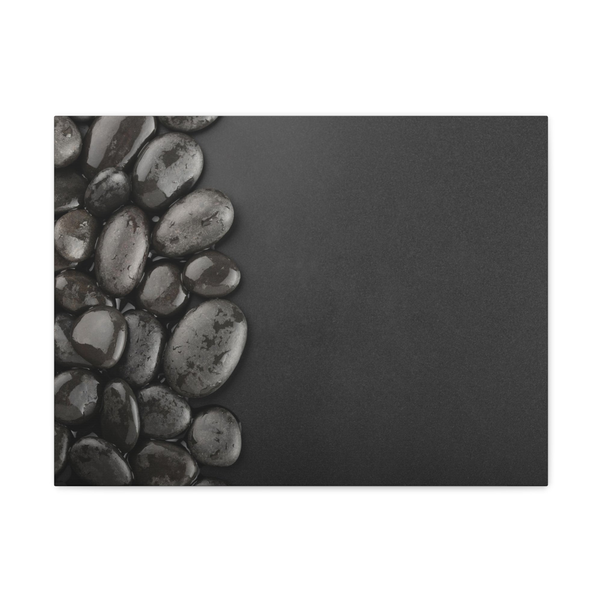 Black Background with Rocks Forest Floral Nature Photography Canvas Wall Art for Home Decor Ready-to-Hang-Express Your Love Gifts