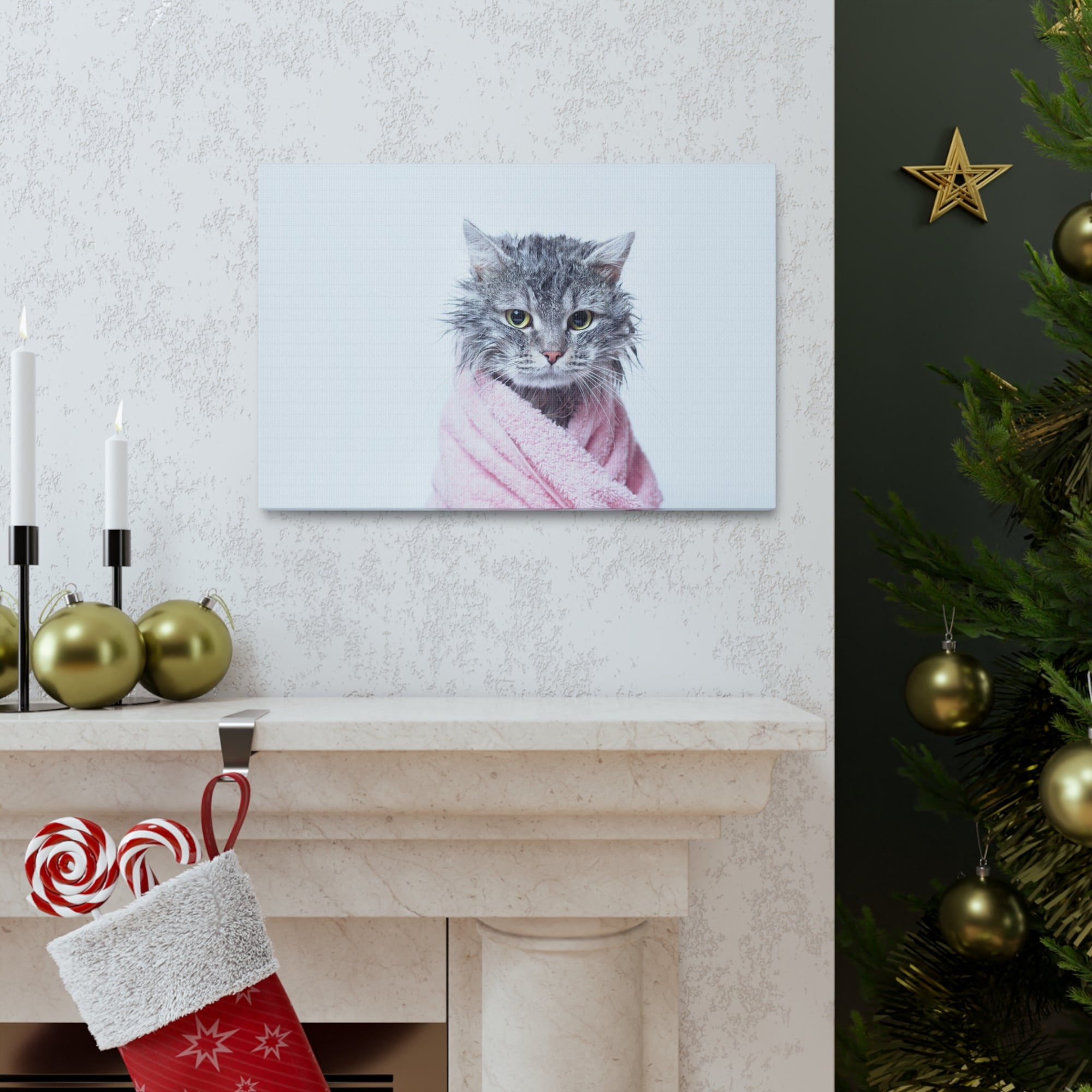 Funny Tabby Cat Bathee Canvas Wall Art for Home Decor Ready-to-Hang-Express Your Love Gifts