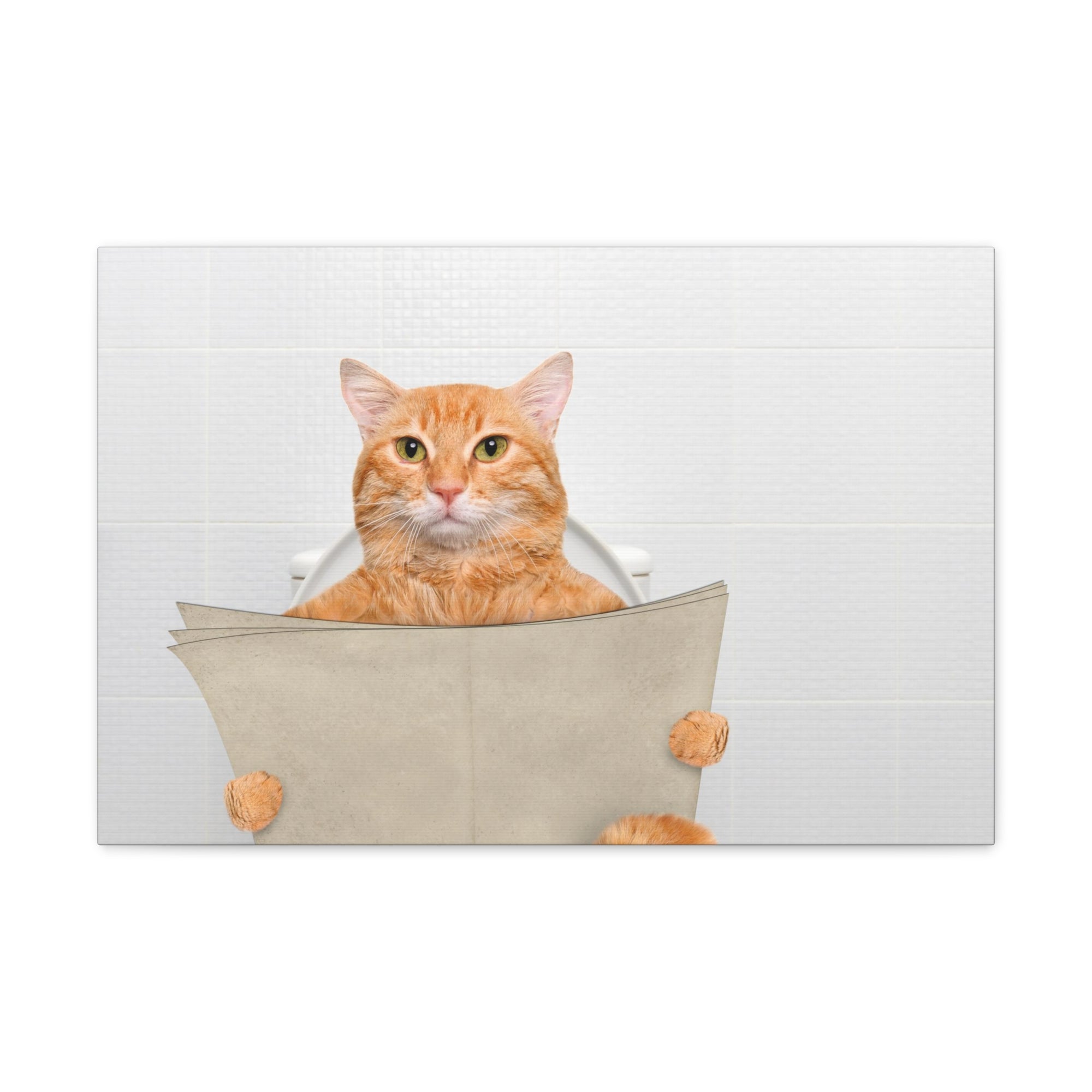 Funny Cat Reading Newspaper On Toilet Funny Canvas Wall Art for Home Decor Ready-to-Hand-Express Your Love Gifts