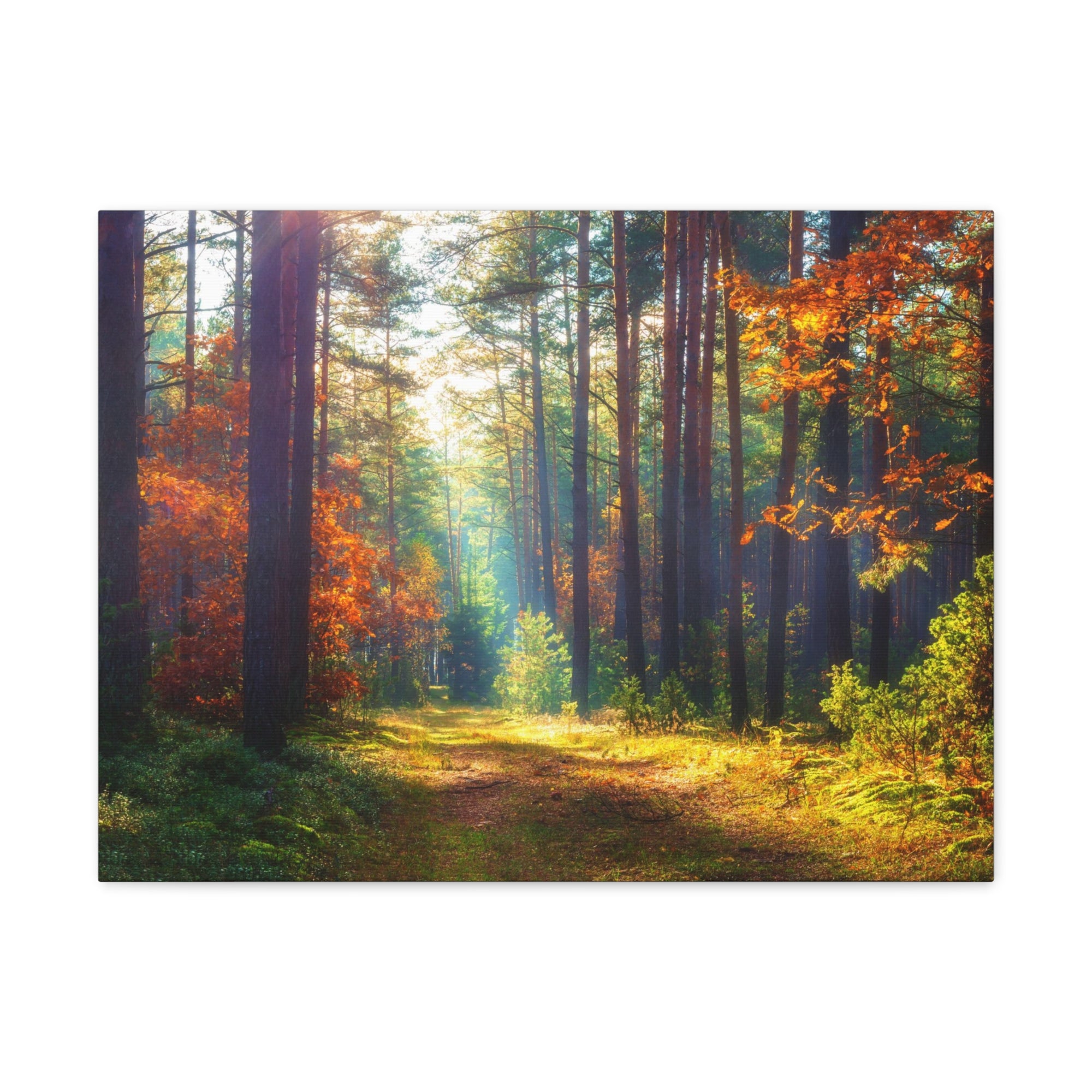 Autumn Fall Leaf Forest Nature Wilderness Photography Canvas Wall Art for Home Decor Ready-to-Hang-Express Your Love Gifts