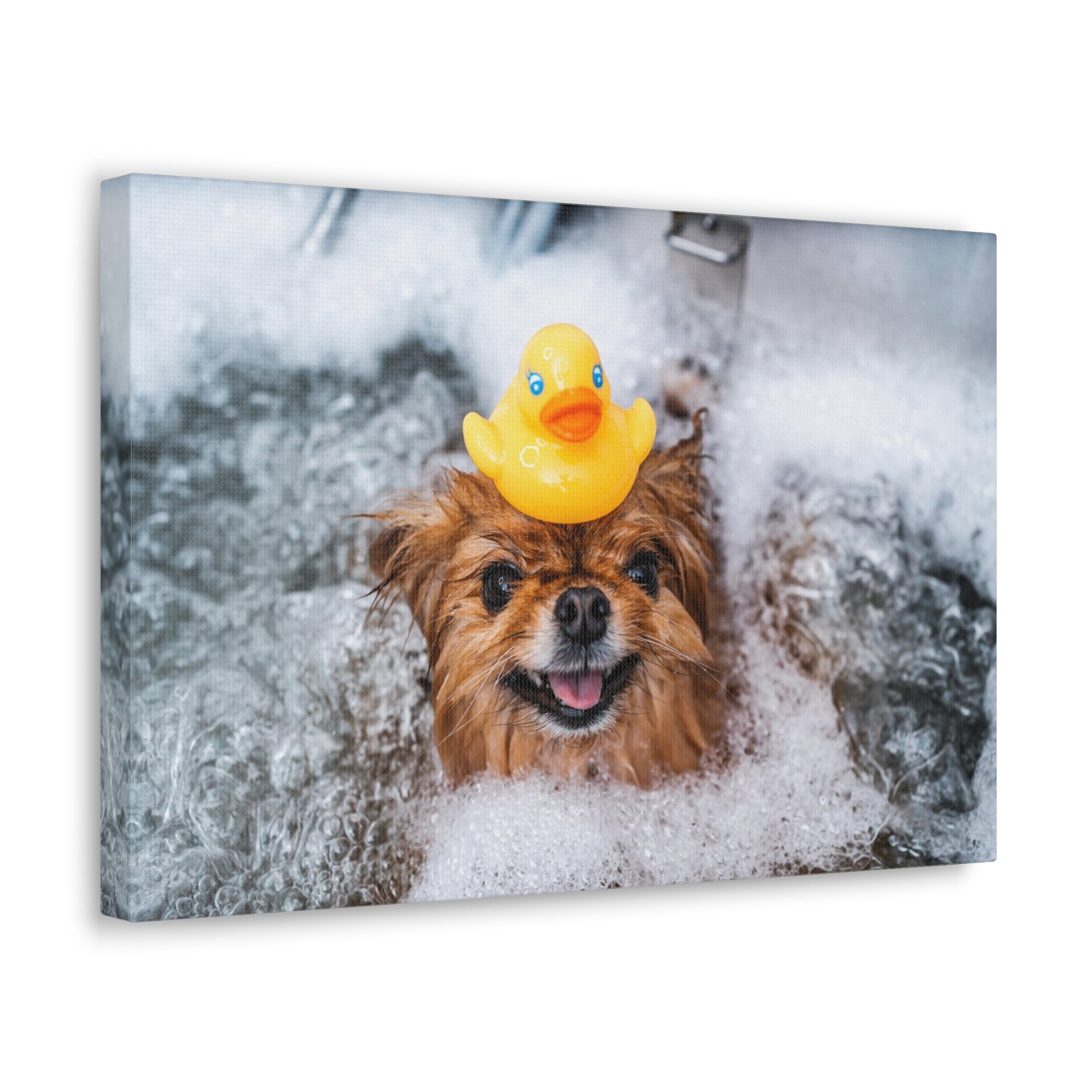 Funny Spitz Bathee Canvas Wall Art for Home Decor Ready-to-Hang-Express Your Love Gifts