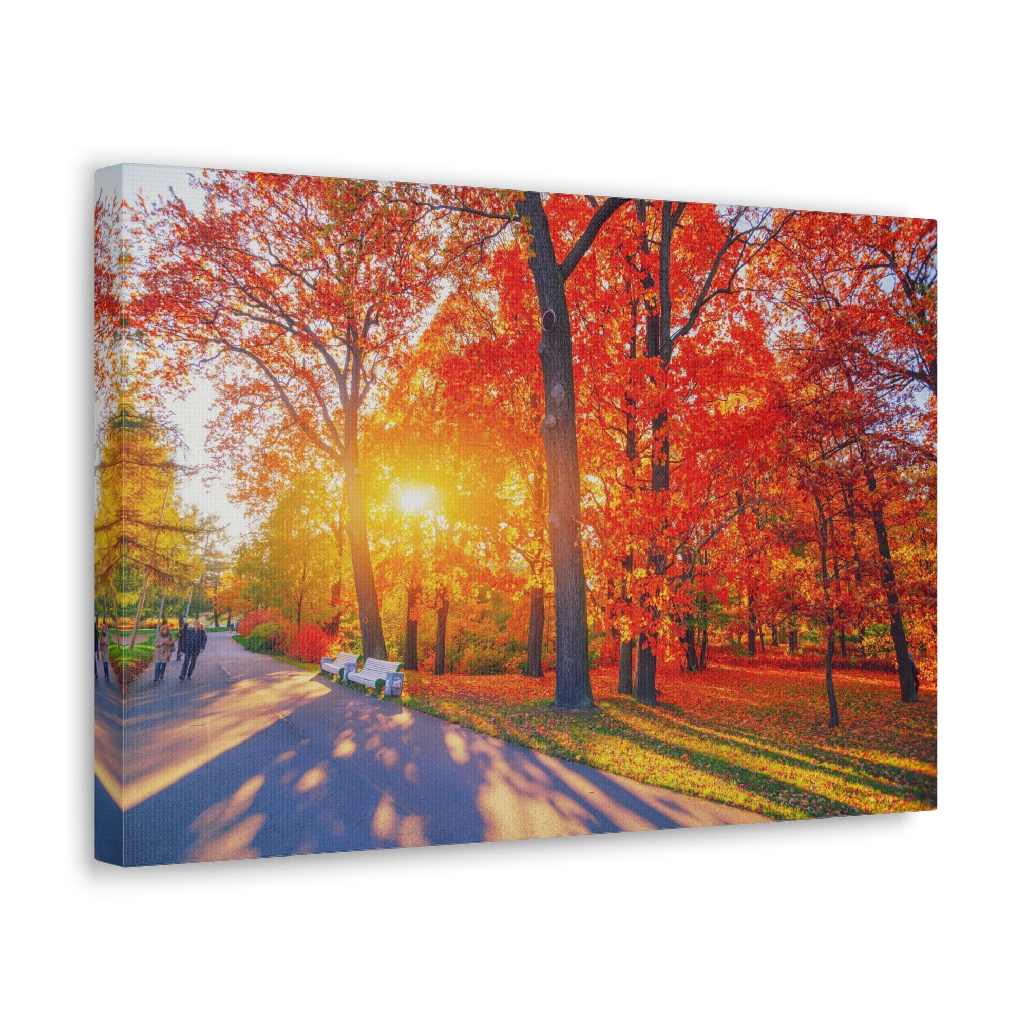 Autumn Path Orange Tree Trail Nature Wilderness Photography Canvas Wall Art for Home Decor Ready-to-Hang-Express Your Love Gifts