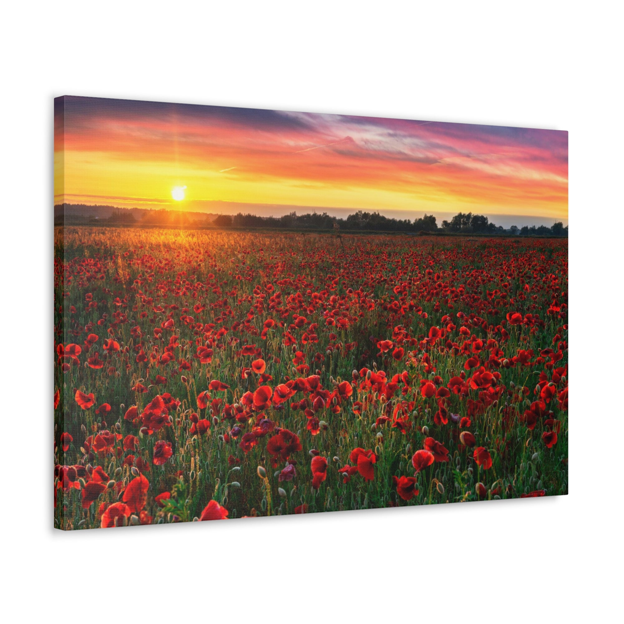 Beautiful Poppy Field During Sunrise Flower Canvas Wall Art for Home Decor Ready-to-Hang-Express Your Love Gifts