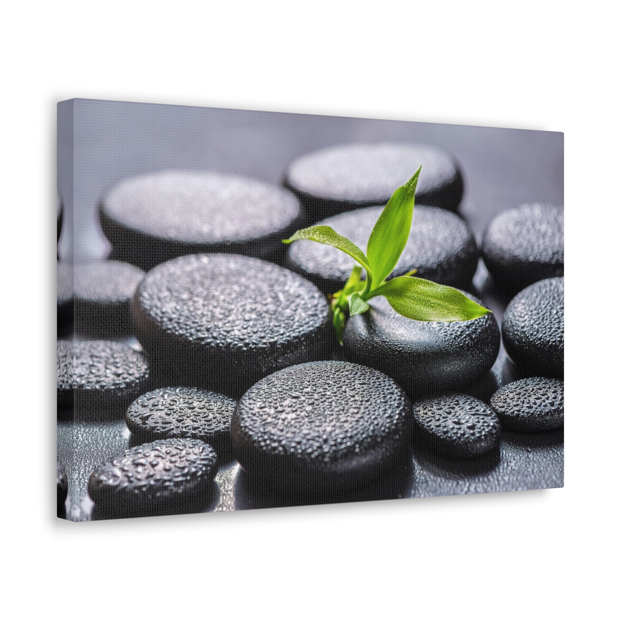 Bamboo on Zen Stones Forest Floral Nature Photography Canvas Wall Art for Home Decor Ready-to-Hang-Express Your Love Gifts