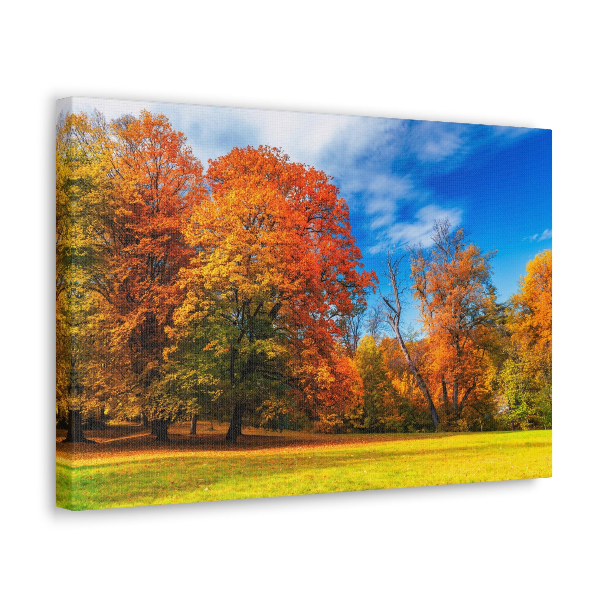 Autumn Fall Scene Beautiful Autumn Forest Path Beauty Nature Scene Bright Light Sun Wall Art Ready to Hang-Express Your Love Gifts