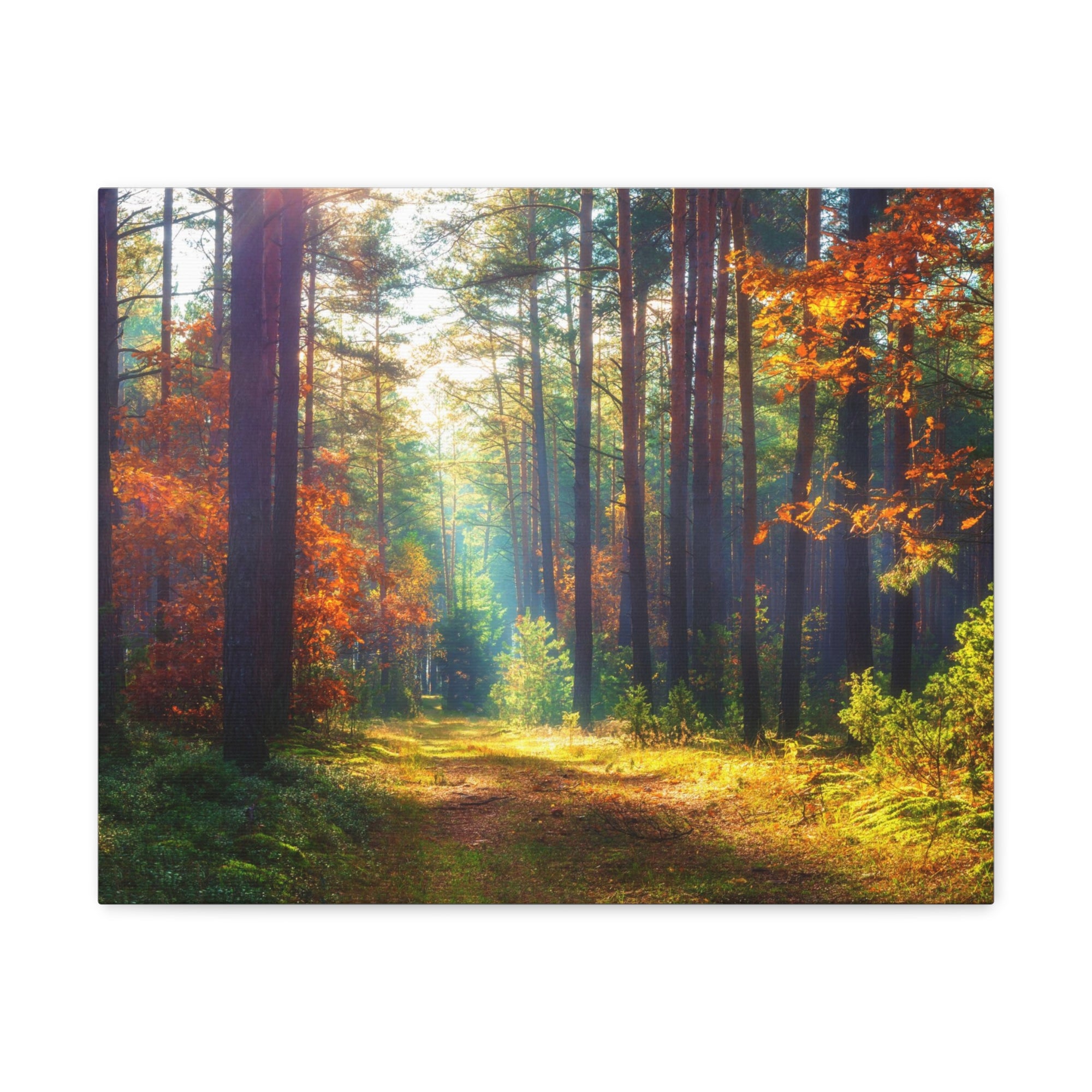 Autumn Fall Leaf Forest Nature Wilderness Photography Canvas Wall Art for Home Decor Ready-to-Hang-Express Your Love Gifts