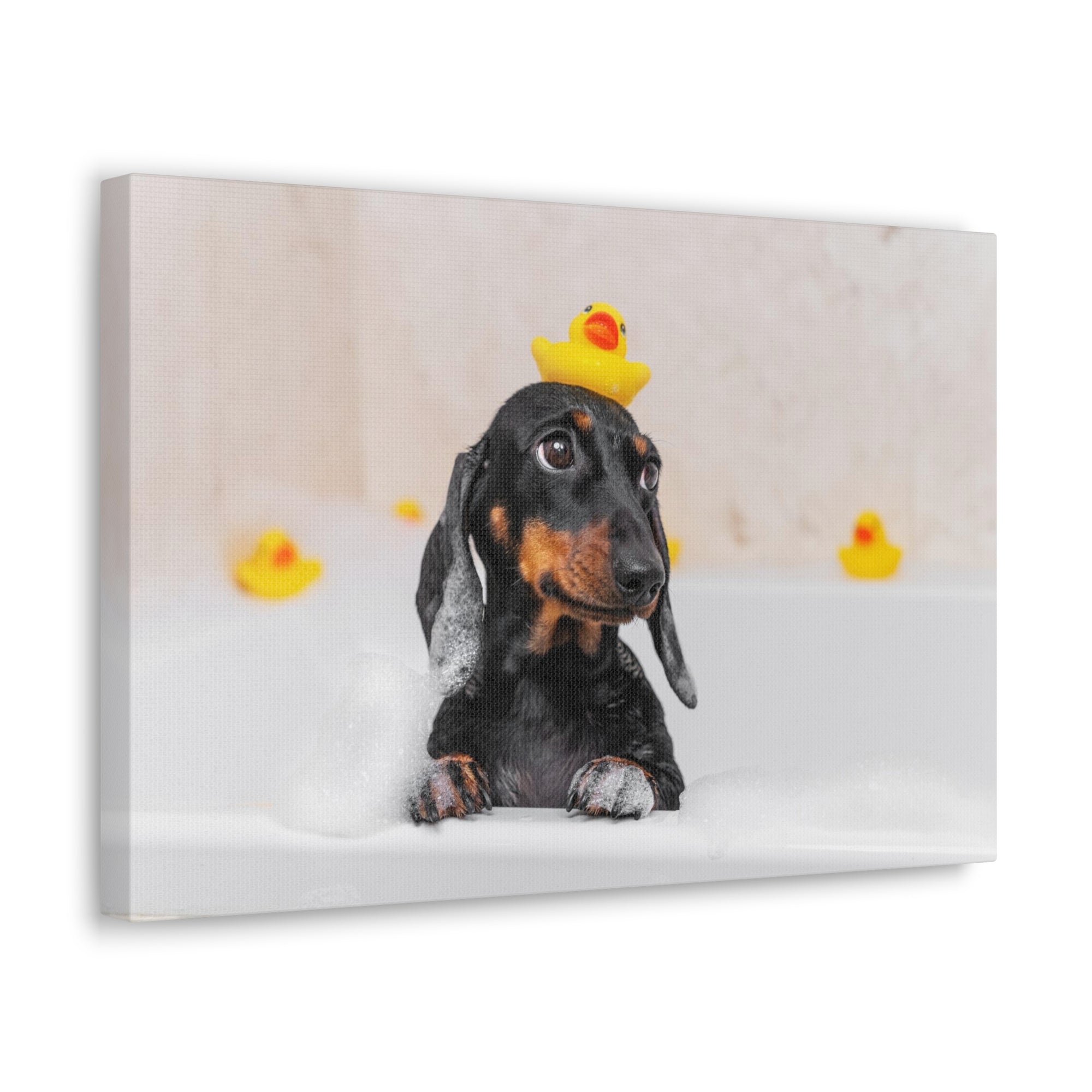 Dachshund In Bathtub With Yellow Duck On Toilet Funny Canvas Wall Art for Home Decor Ready-to-Hand-Express Your Love Gifts